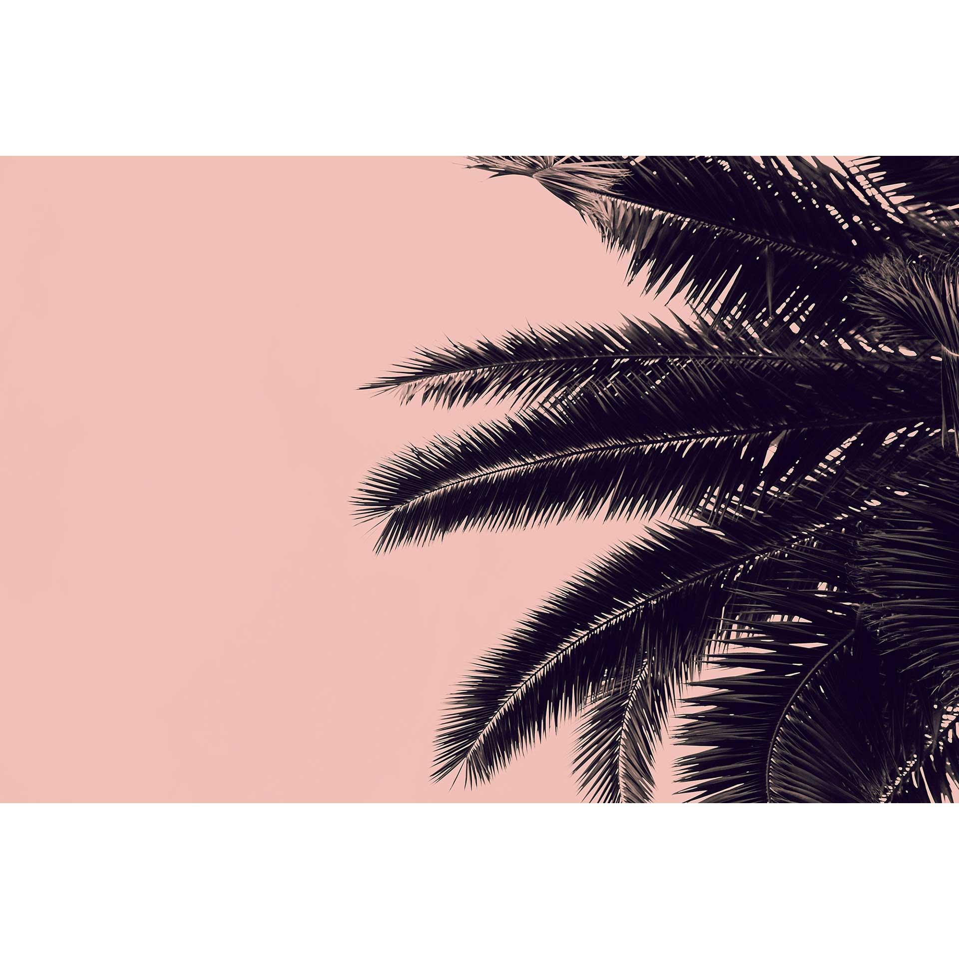 Livingwalls papier peint photo ARTist Palm Tree
