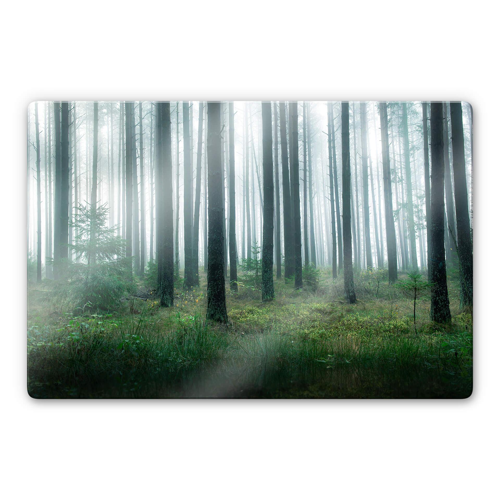 Glasschilderij Lindsten - in het bos
