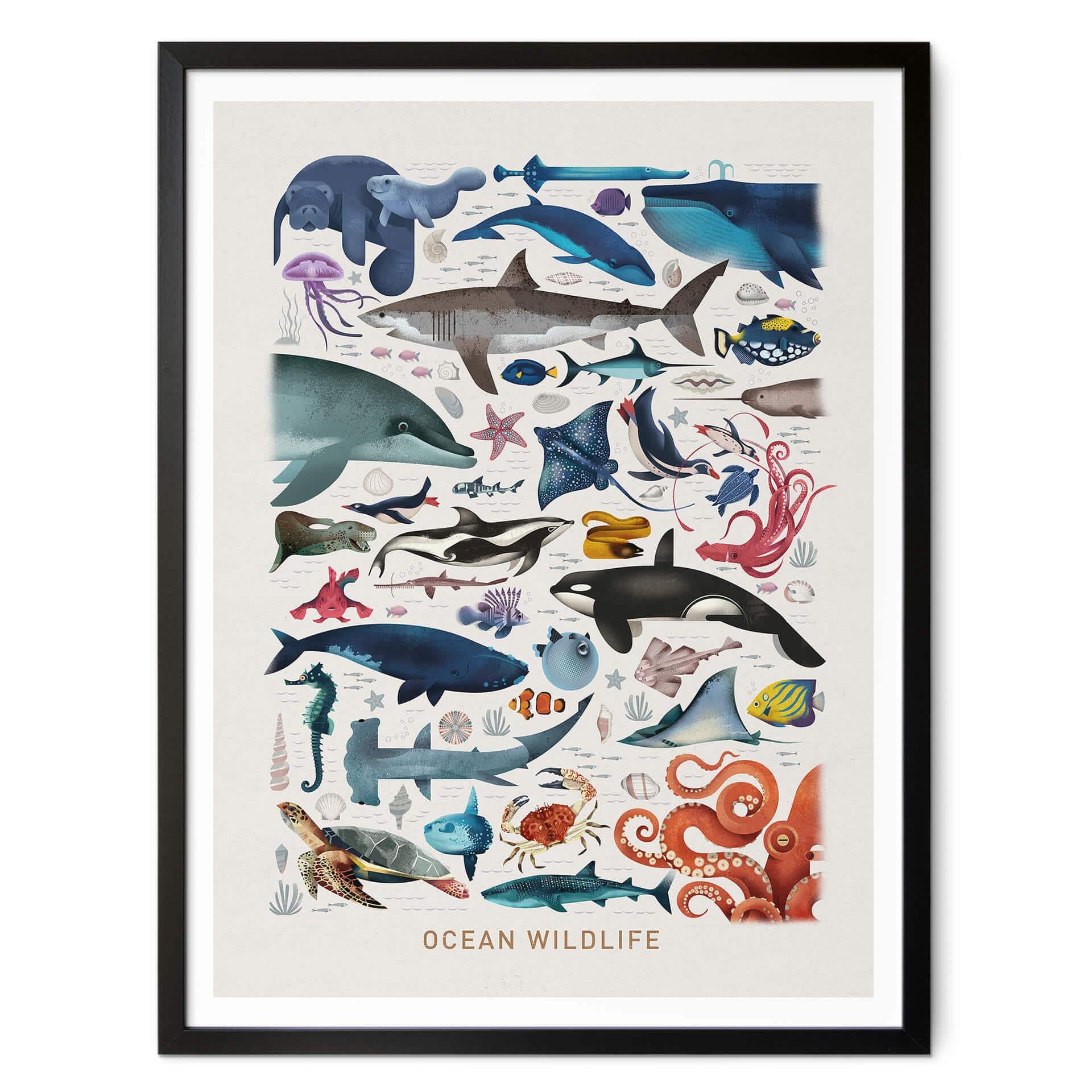 Poster Brown - Ocean Wildlife