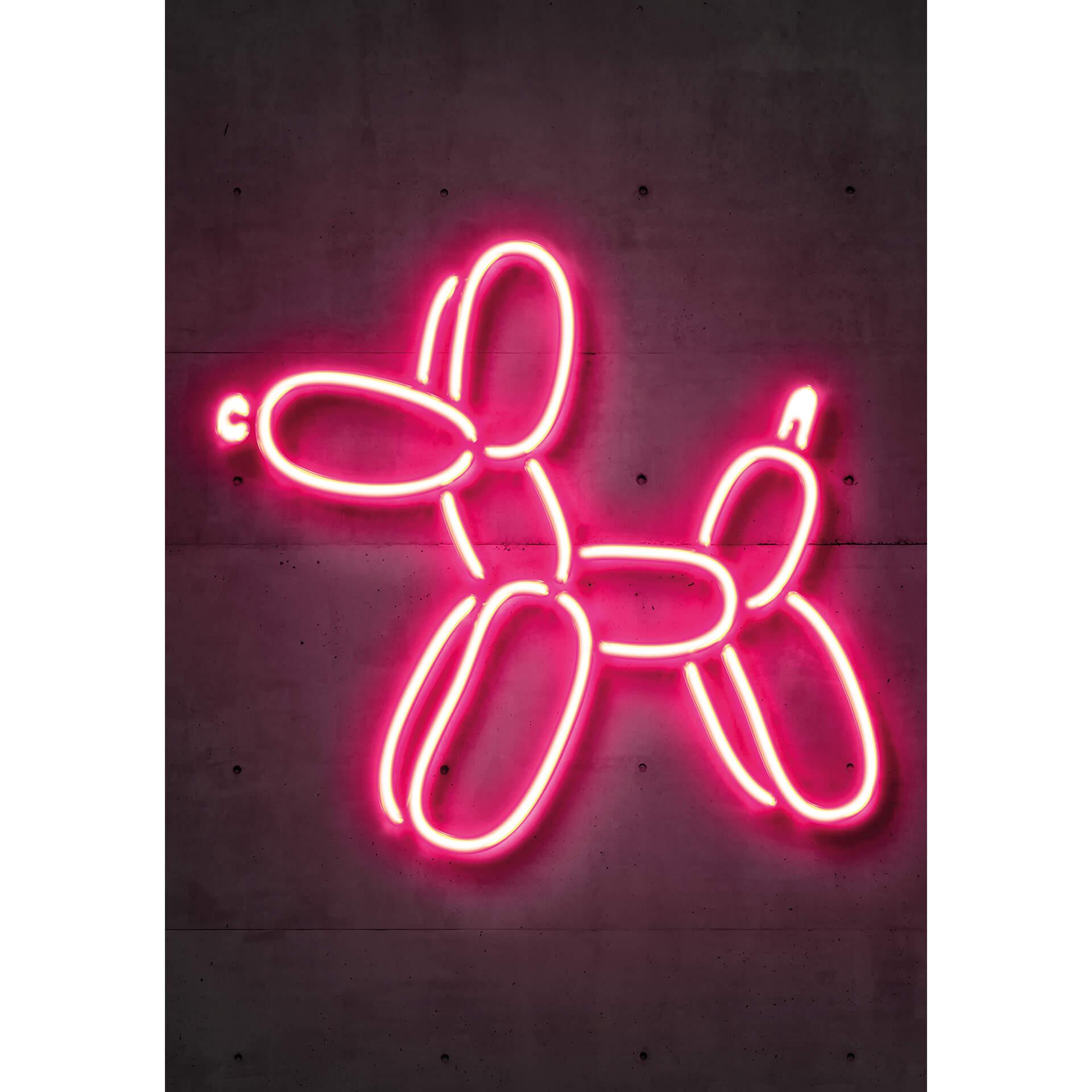 Fotobehang Mielu - Balloon Dog