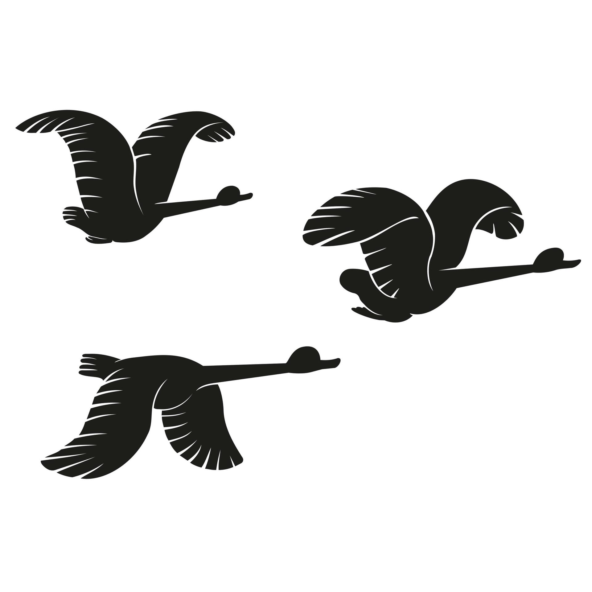 Adesivo murale - Volo d'anatre
