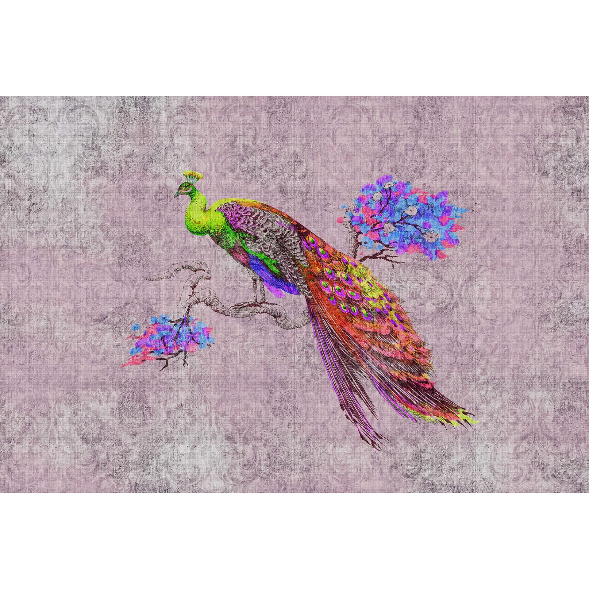 Livingwalls Fotobehang Walls by Patel 2 peacock 2