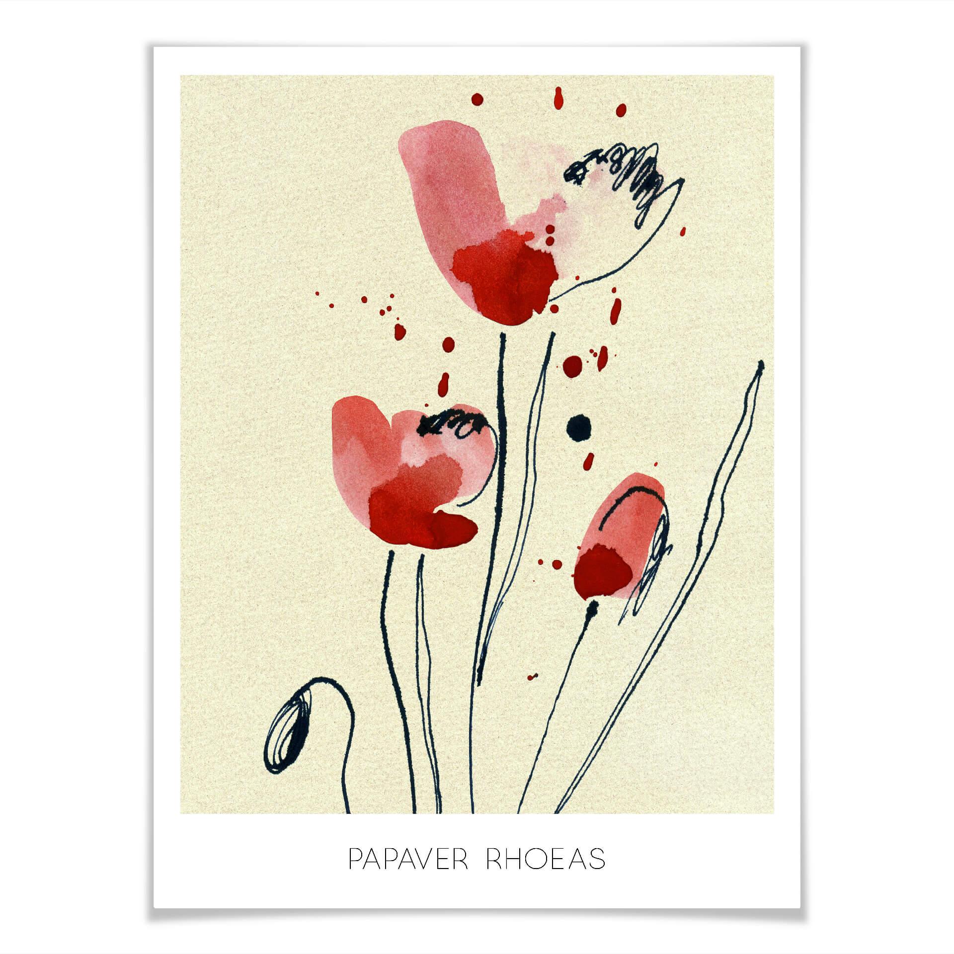 Plakat Papaver Rhoeas