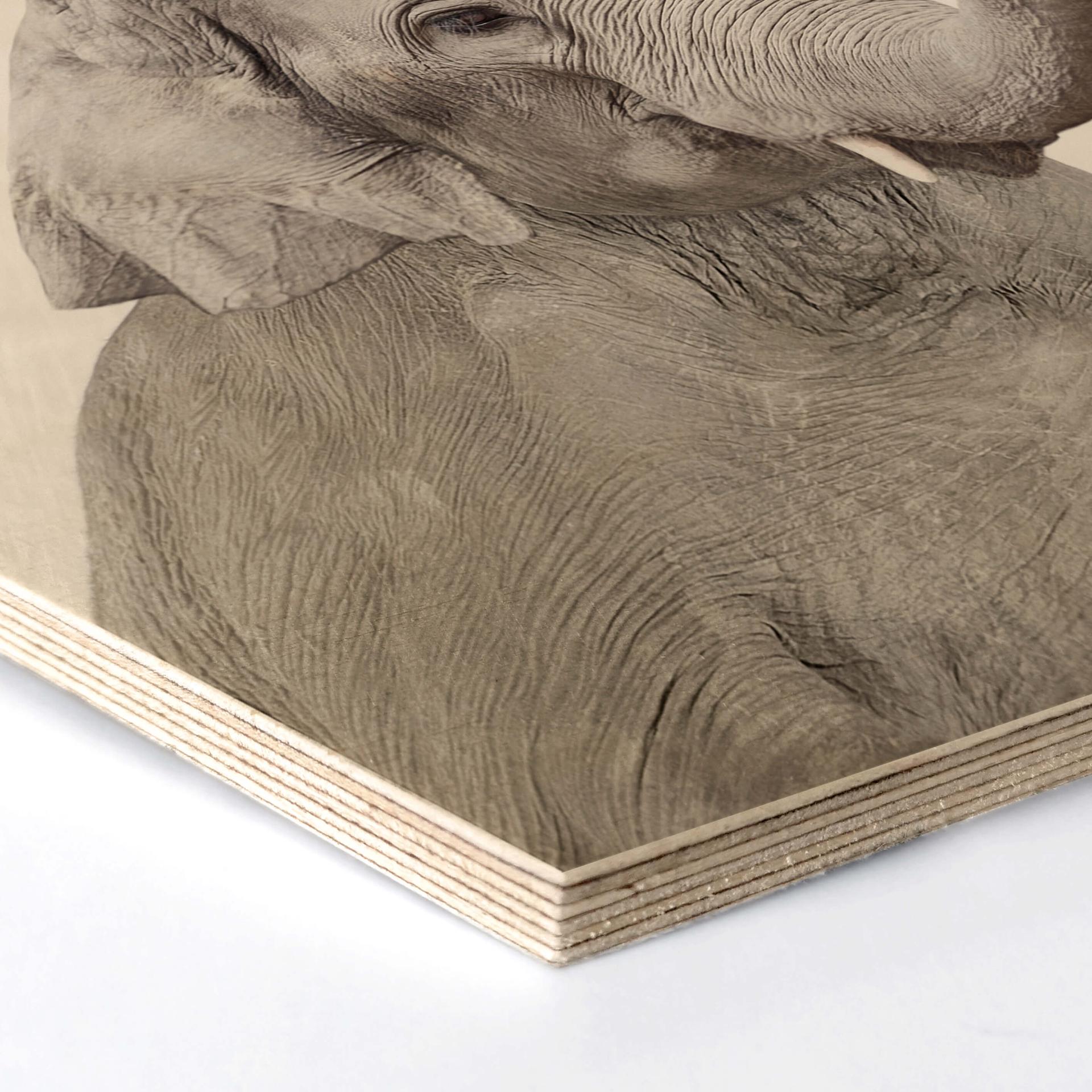 Hexagon Hout Sisi & Seb - Baby Elephant