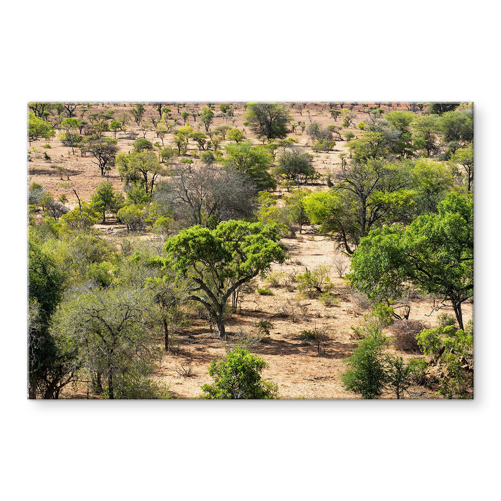 Acrylglas afbeelding Savanne landschap in Afrika - Hugonnard