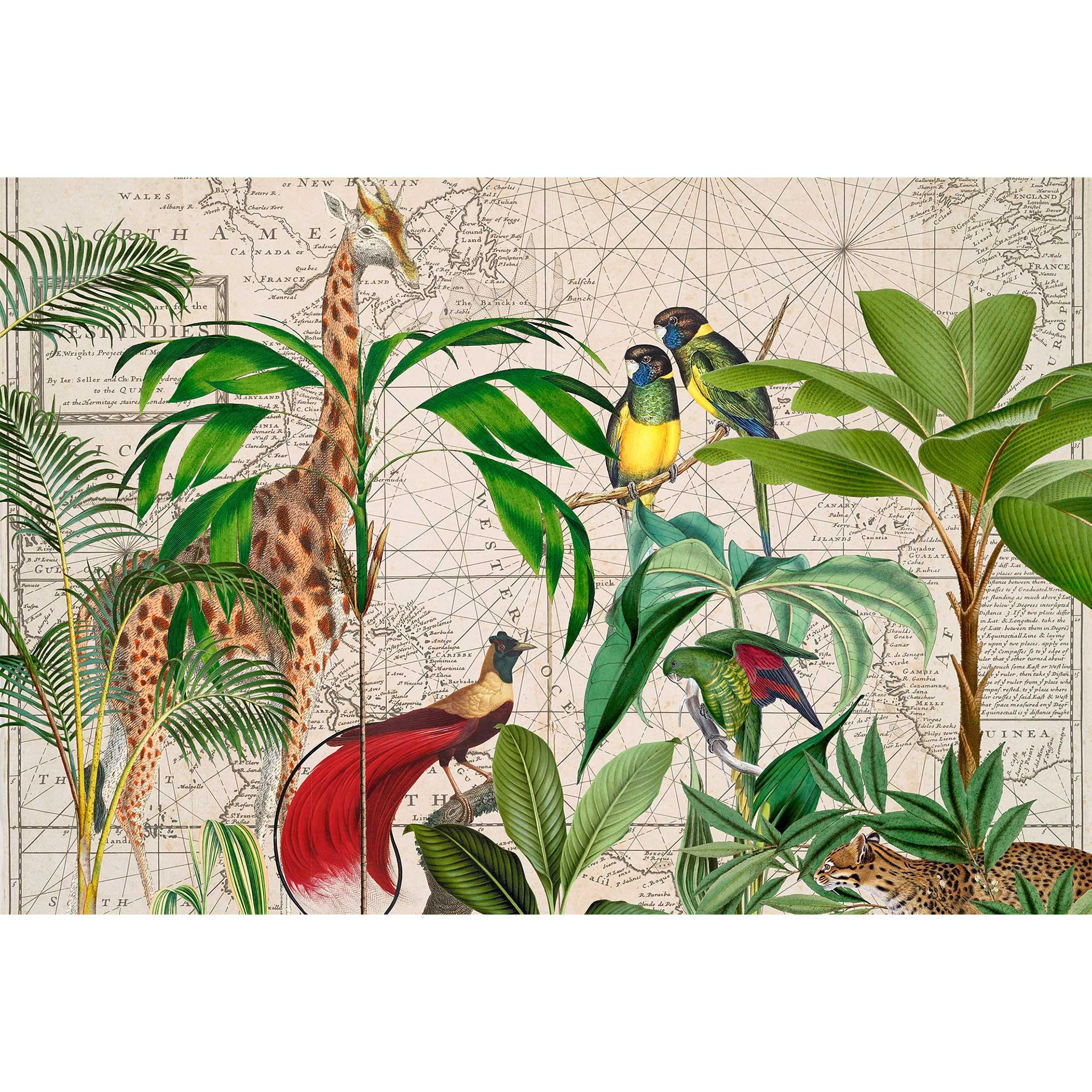 Livingwalls papier peint photo ARTist Palm Tree Map