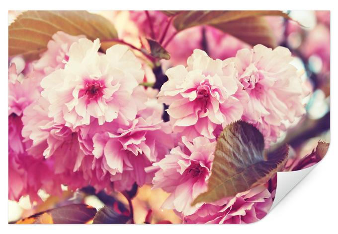 Zelfklevende Poster - Vintage Flowers