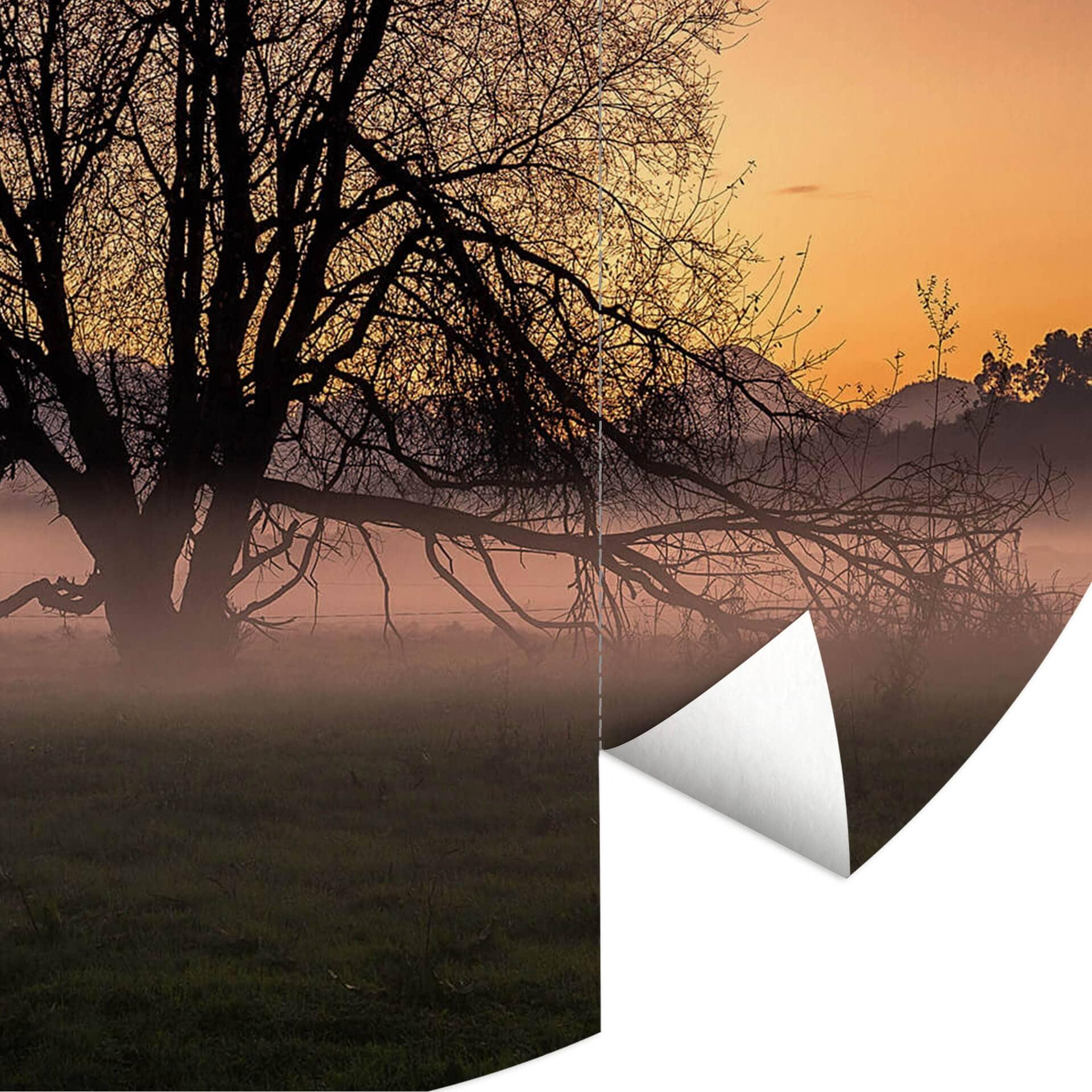 Behangcirkel Cuadrado - The Fog - vliesbehang/zelfklevend vliesbehang