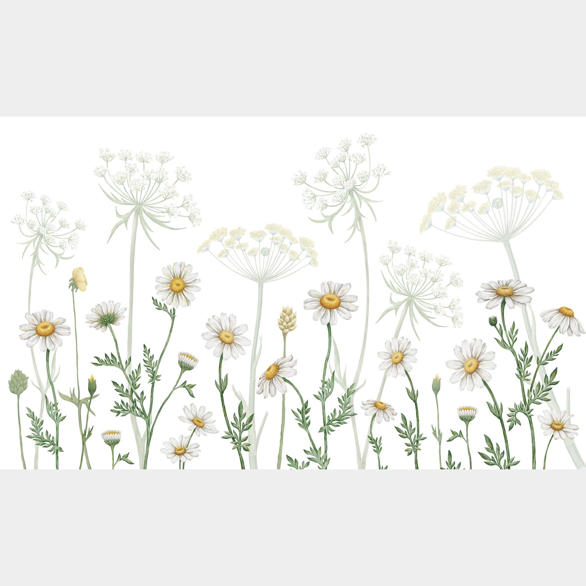 Fotobehang Sir Edward - Flowery Spring