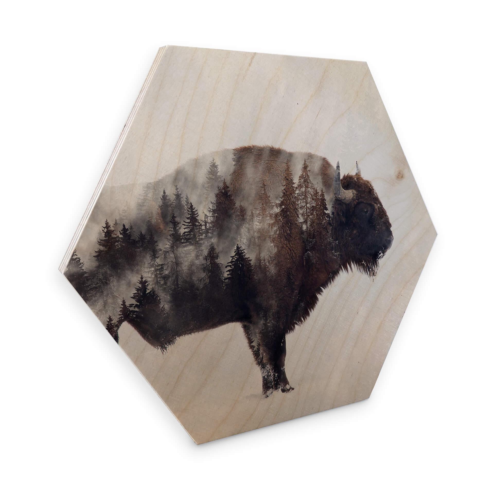 Hexagon Hout - Beáta - Bison