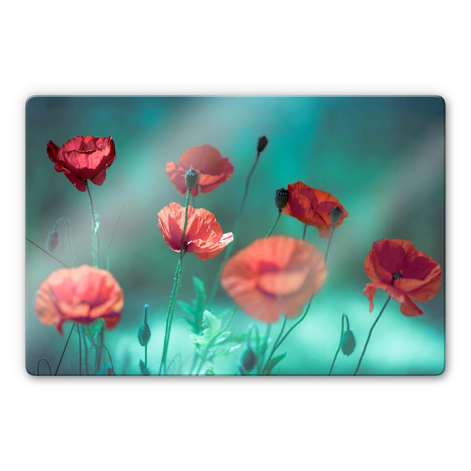 Tableau en verre Delgado - Coquelicots aigues-marines