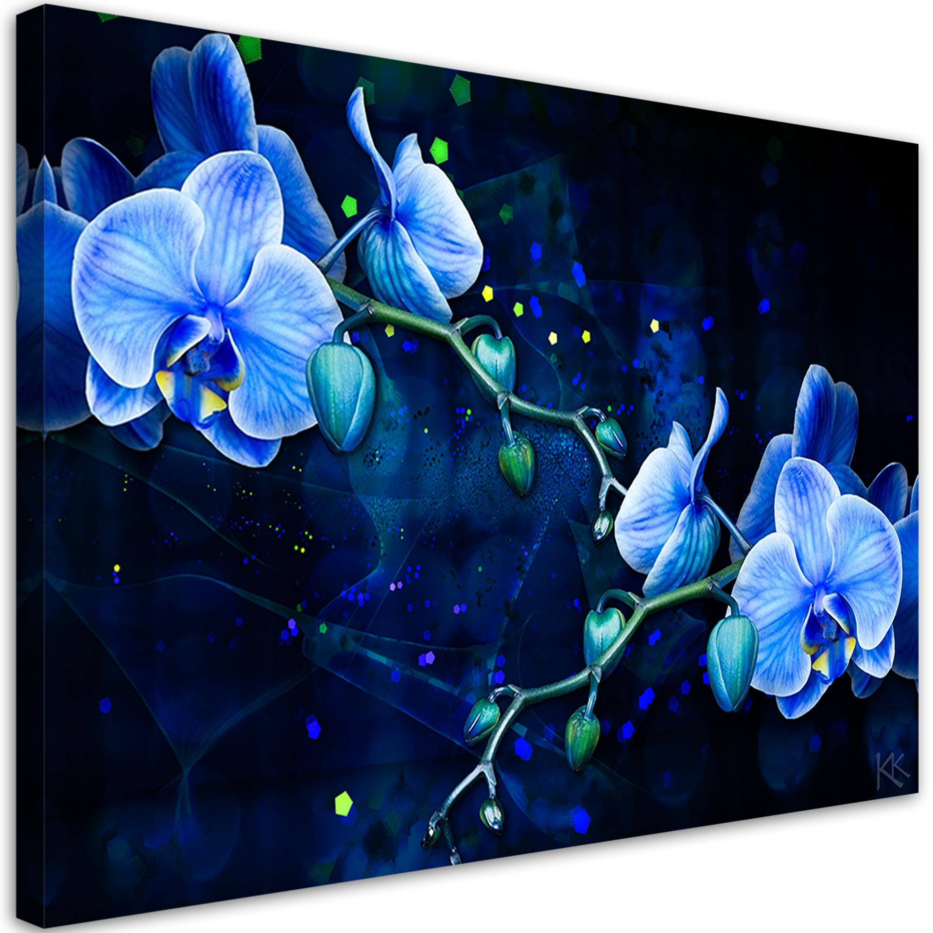 Canvasbillede, Blå orkidéblomst