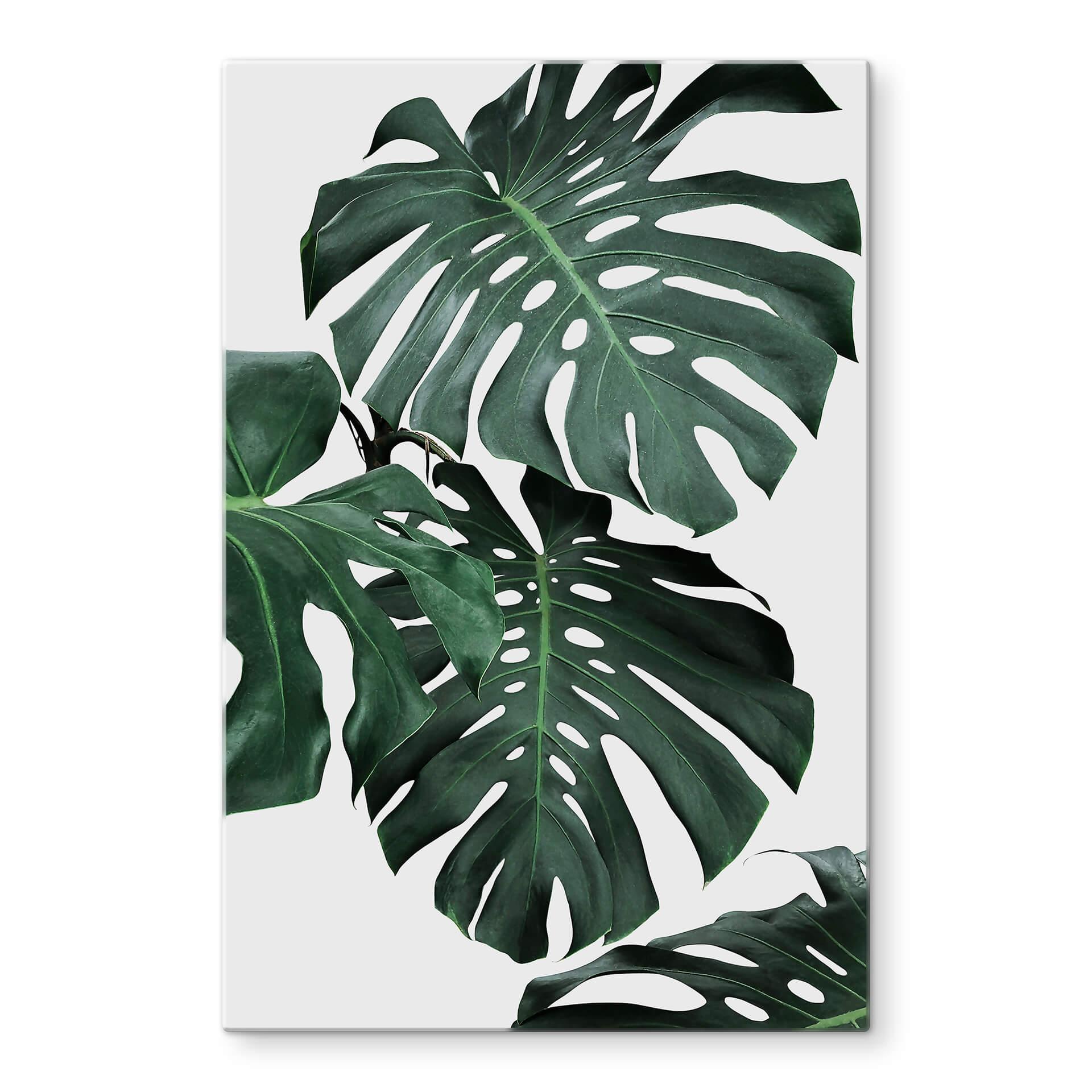 Glasschilderij Sisi & Seb - Monstera