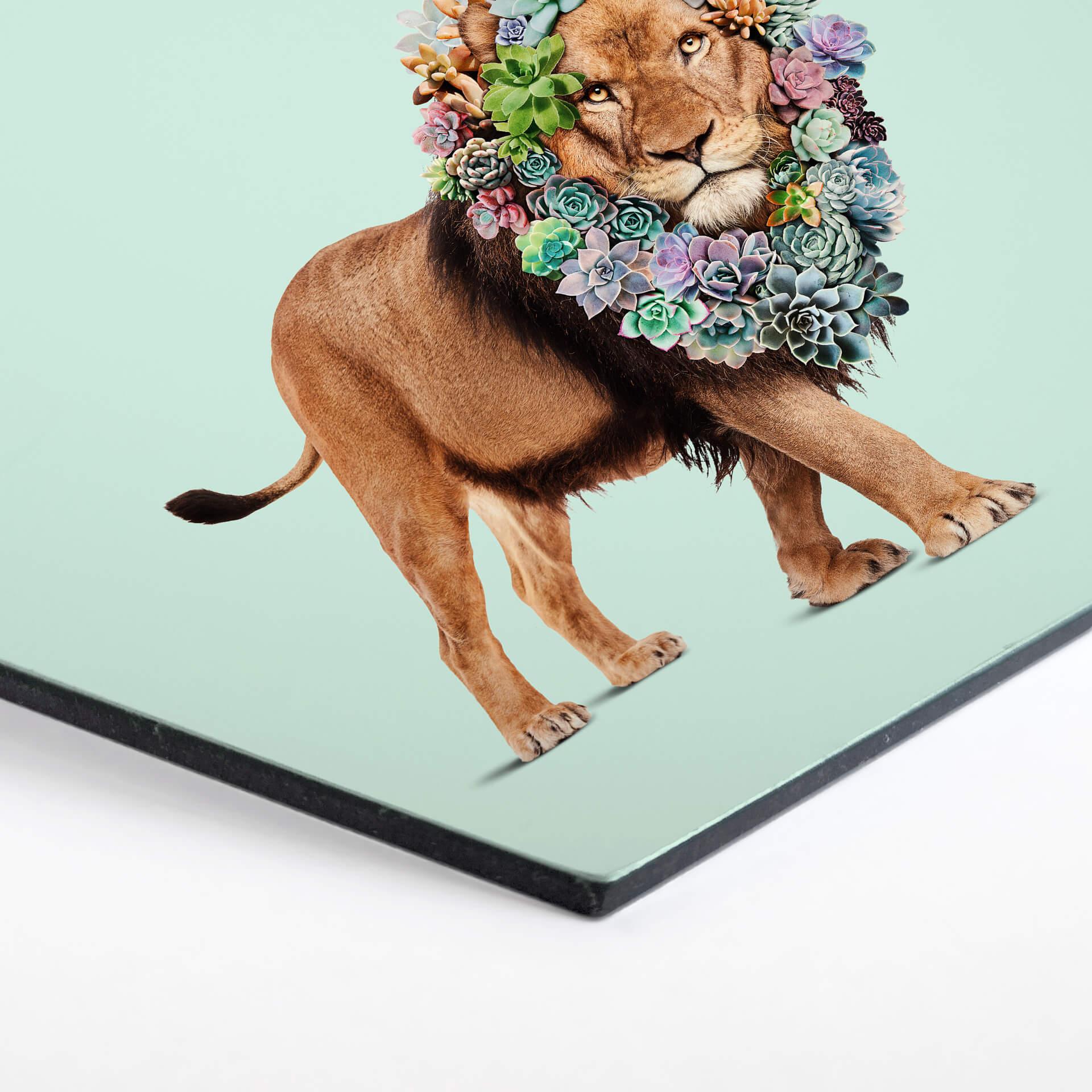 Esagoni Alu-dibond Loose - Succulent Lion