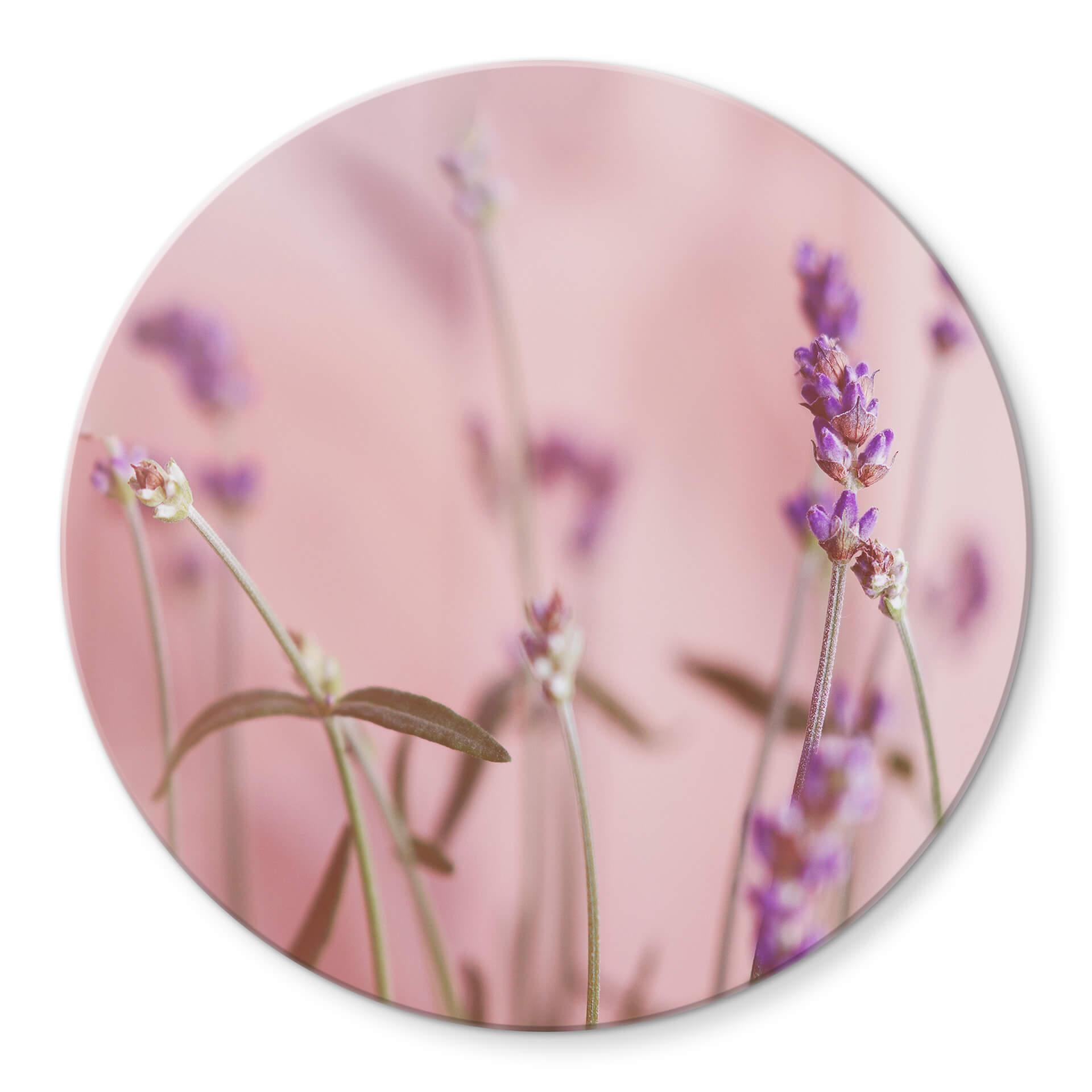 Glasschilderij rond Delicate Lavender
