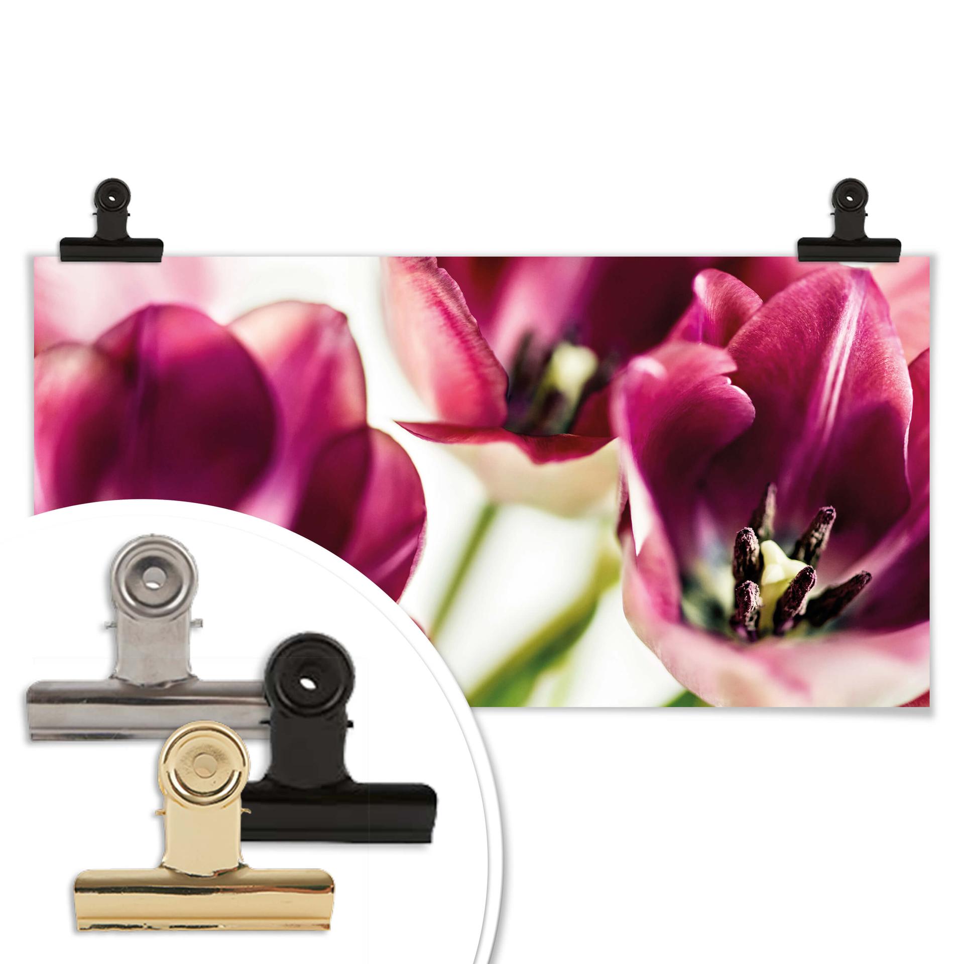 Póster Bsmart - Tulipanes