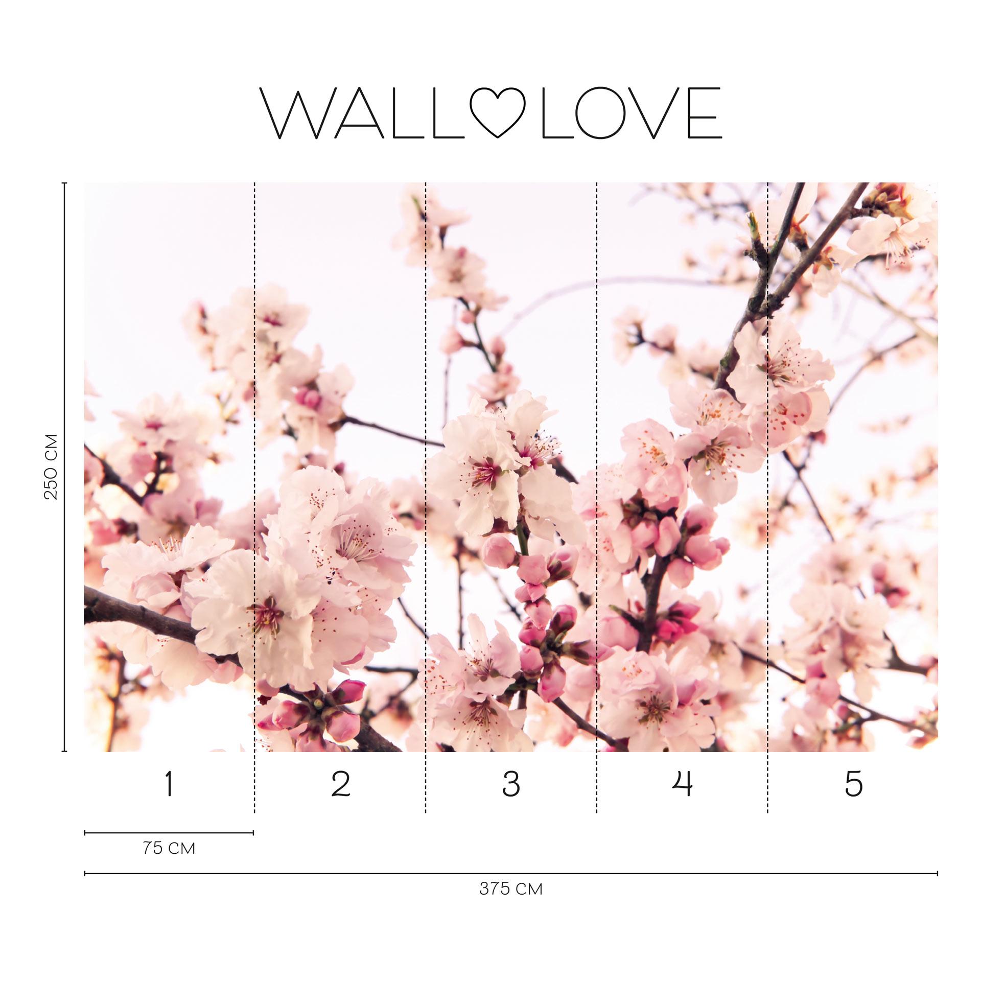 Fotobehang roze wit - Vliesbehang 3,75 m x 2,50 m delicate bloesem motief