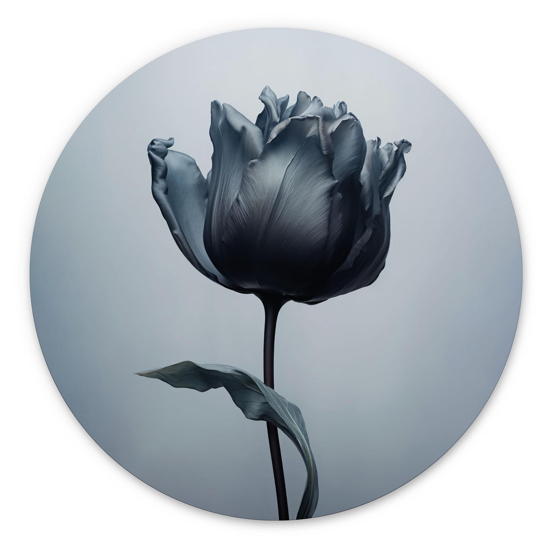 Wandbild Samtige Tulpe in Schwarz - Paksoylu - Alu-Dibond Rund