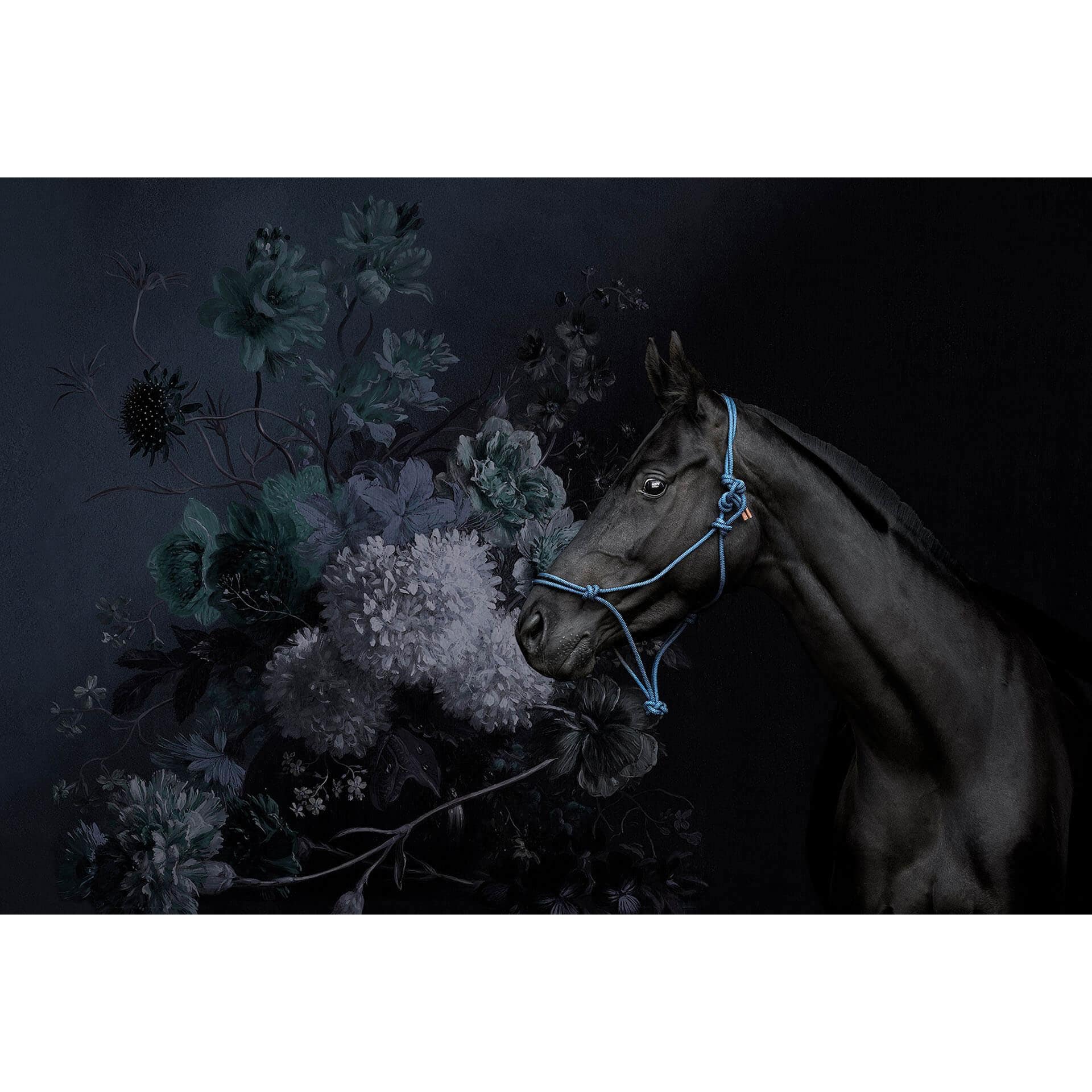 Livingwalls Fotobehang Walls by Patel horses 2