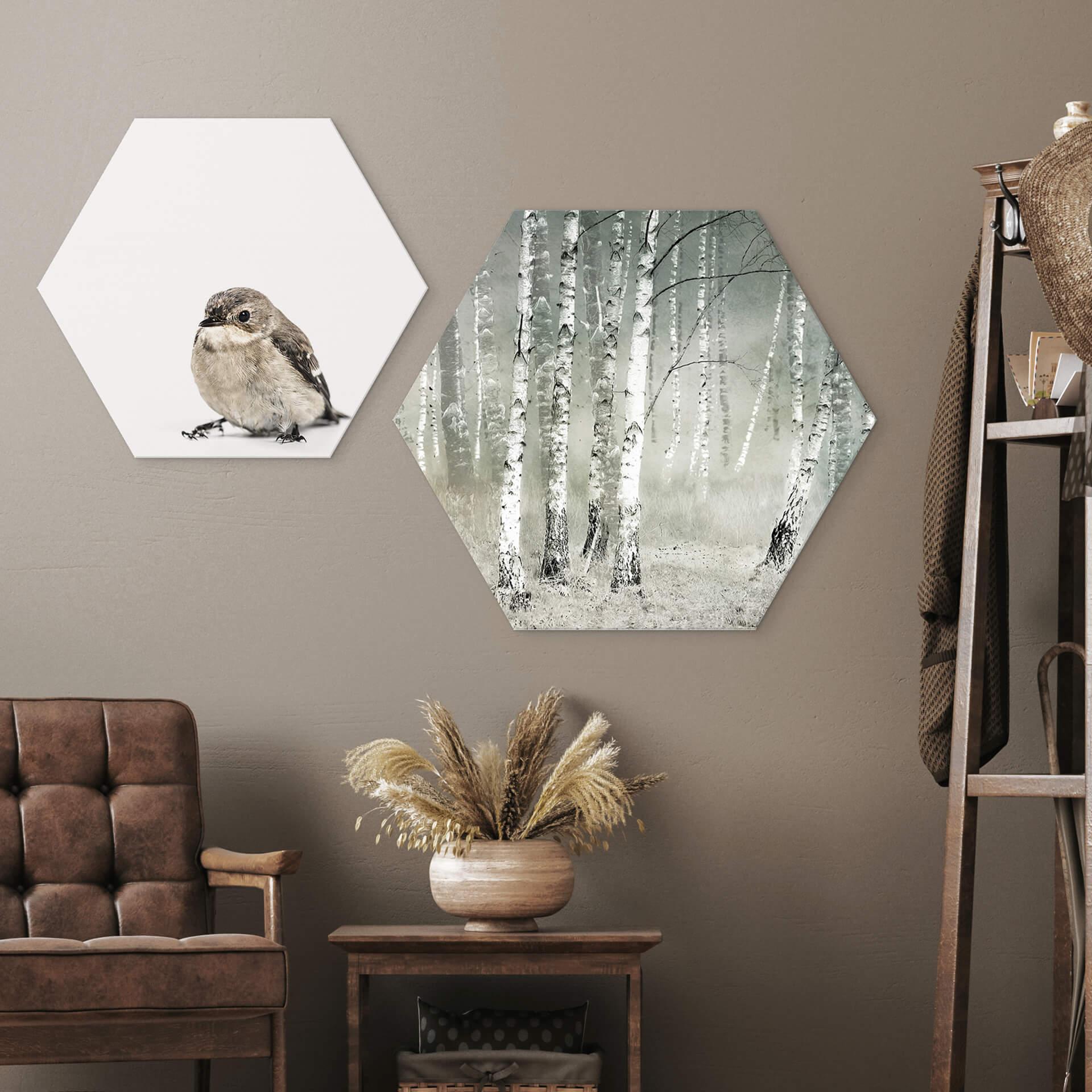 Hexagon Dibond Talen - Morning Quietness