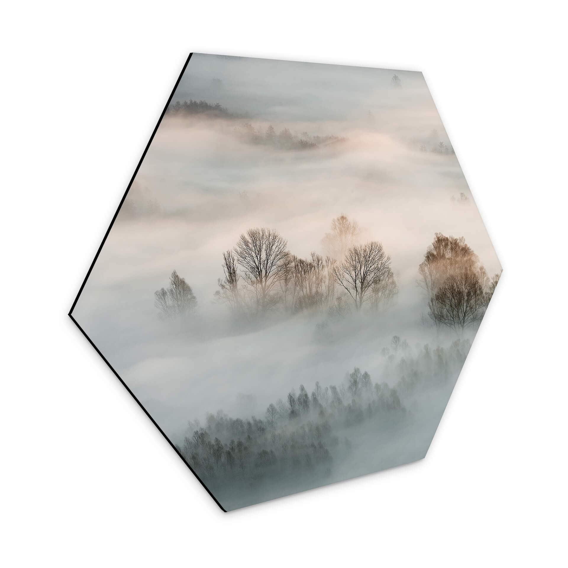 Hexagon Dibond Galimberti - Winter Fog