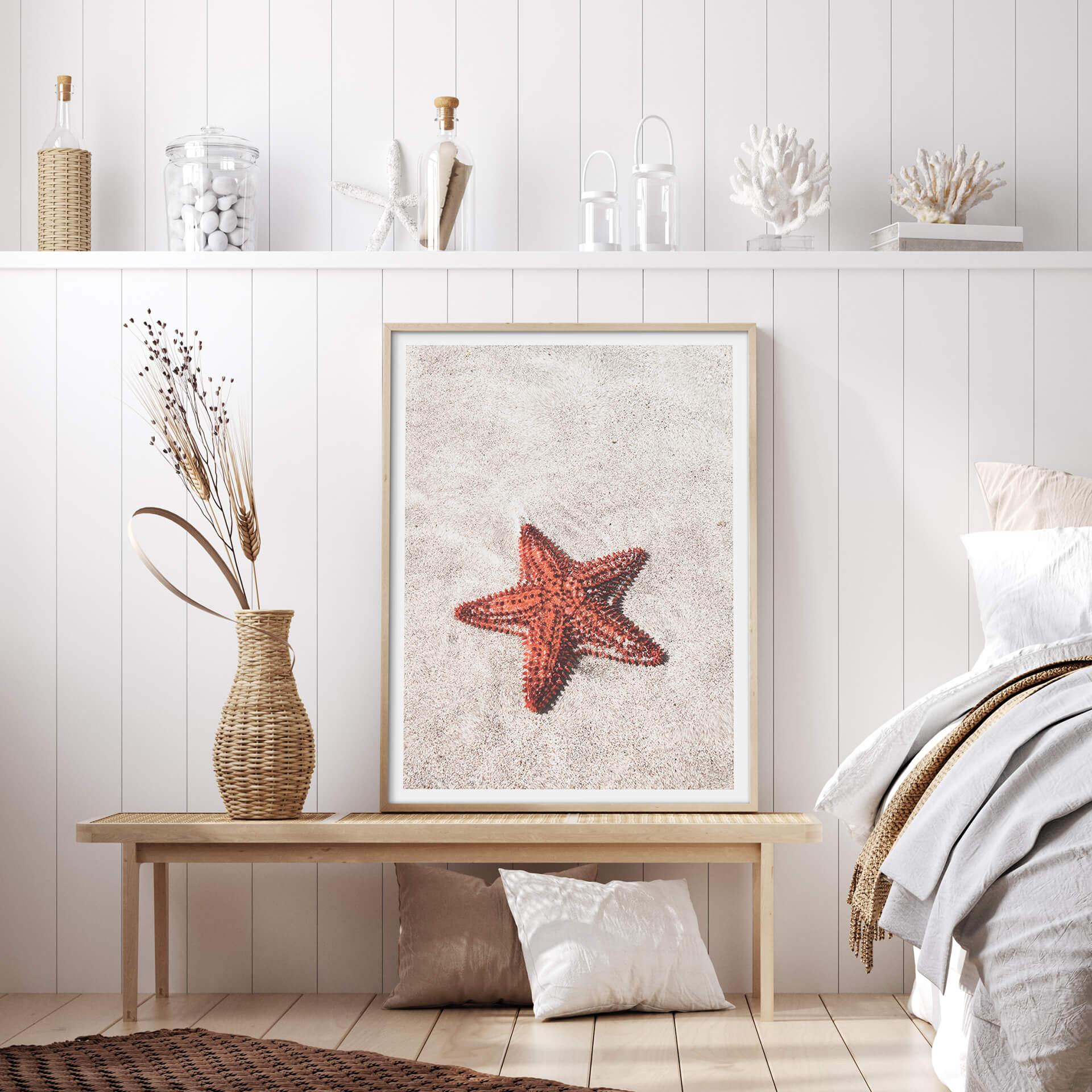 Plakat Colombo - Czerwona rozgwiazda