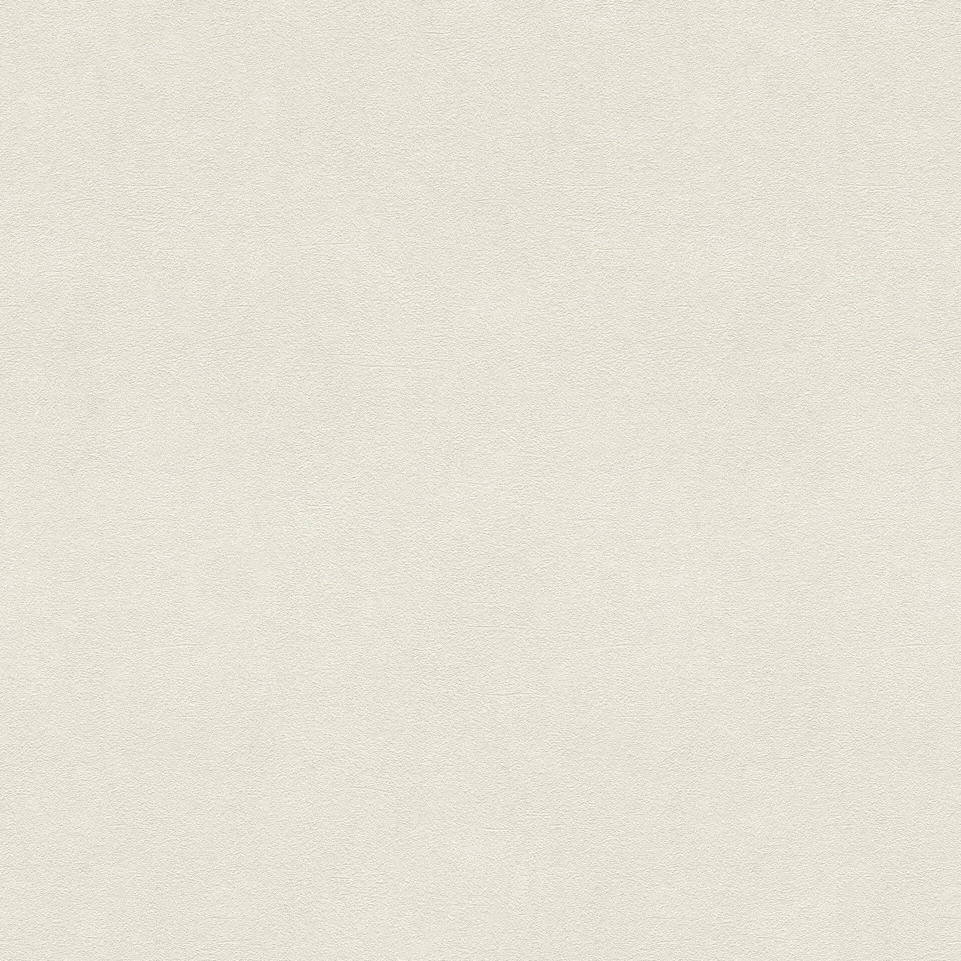 Rasch Vliestapete Vincenza Beige, Creme