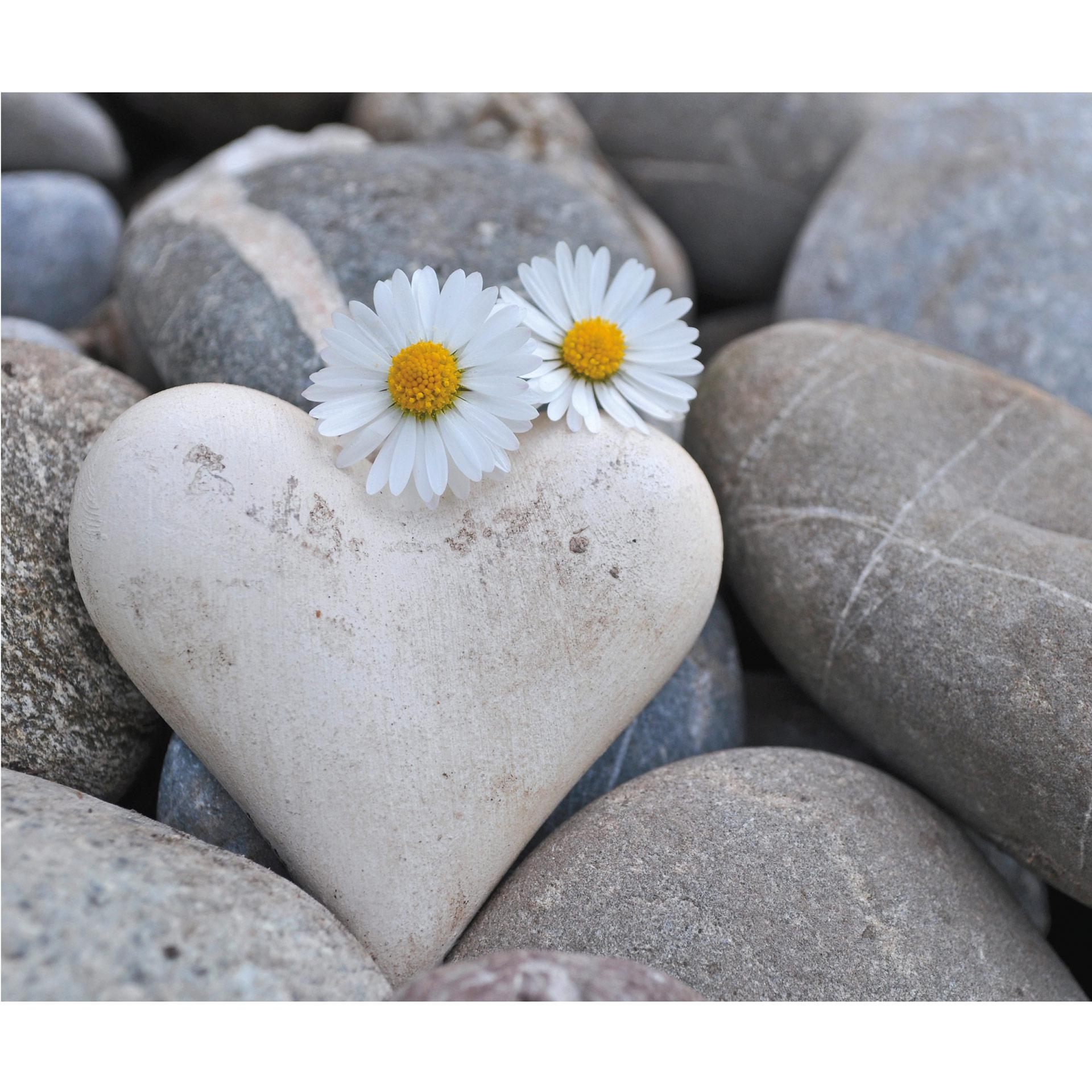 Fotobehang Liefdesbloemen