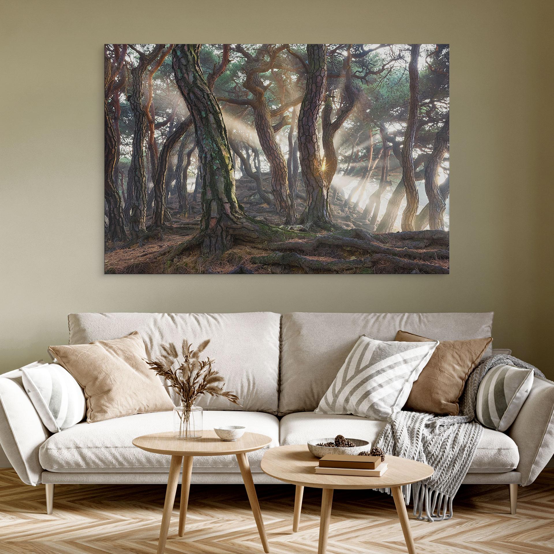 Wandbild Heiliger Kiefernwald - Ryu - Alu-Dibond