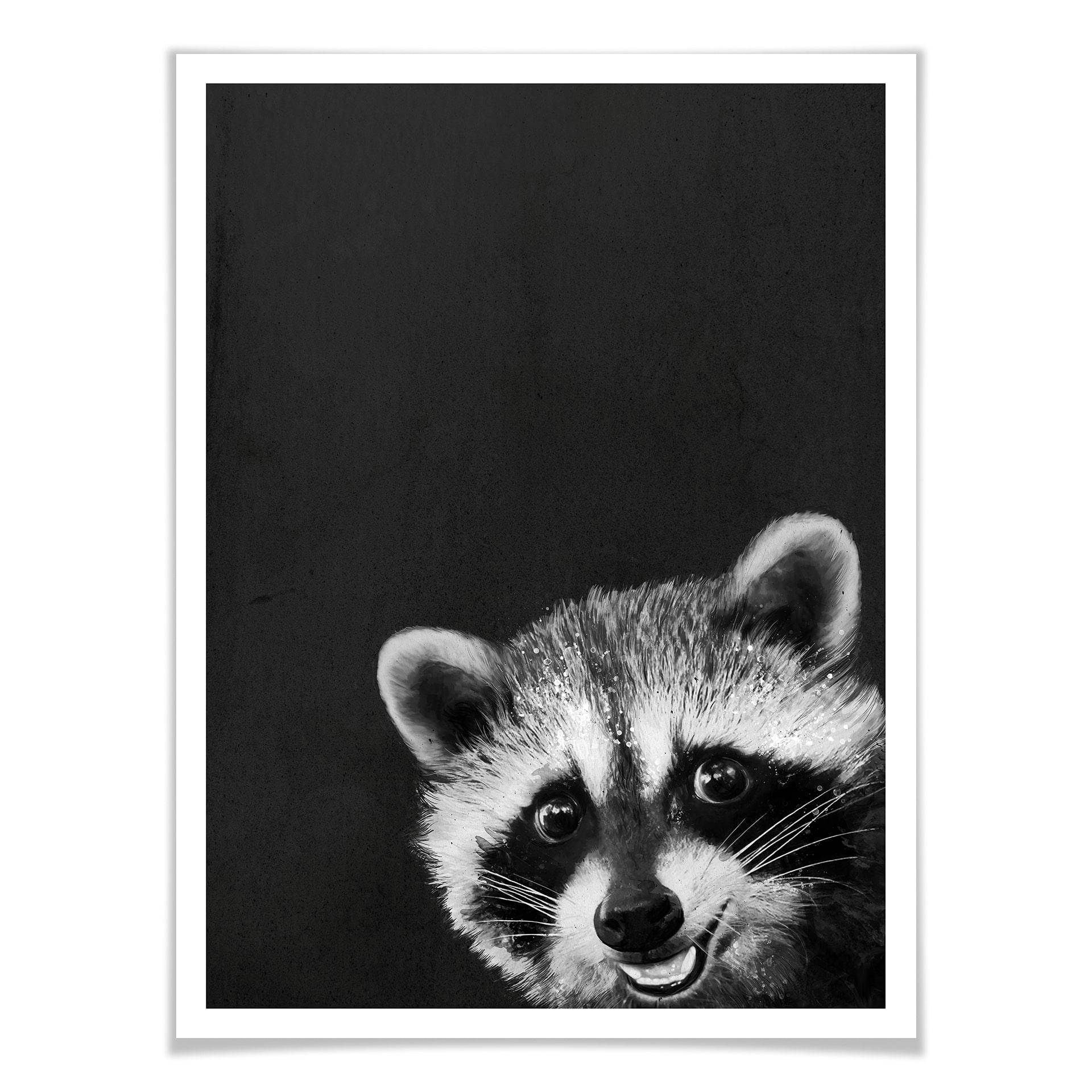 Plakat Graves - Racoon