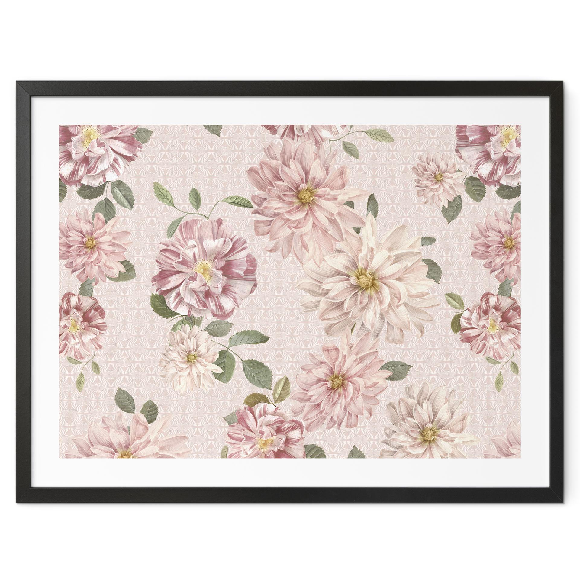 Plakat med blomster - Dahliaer Shabby Chic Pink - Bloomery Decor