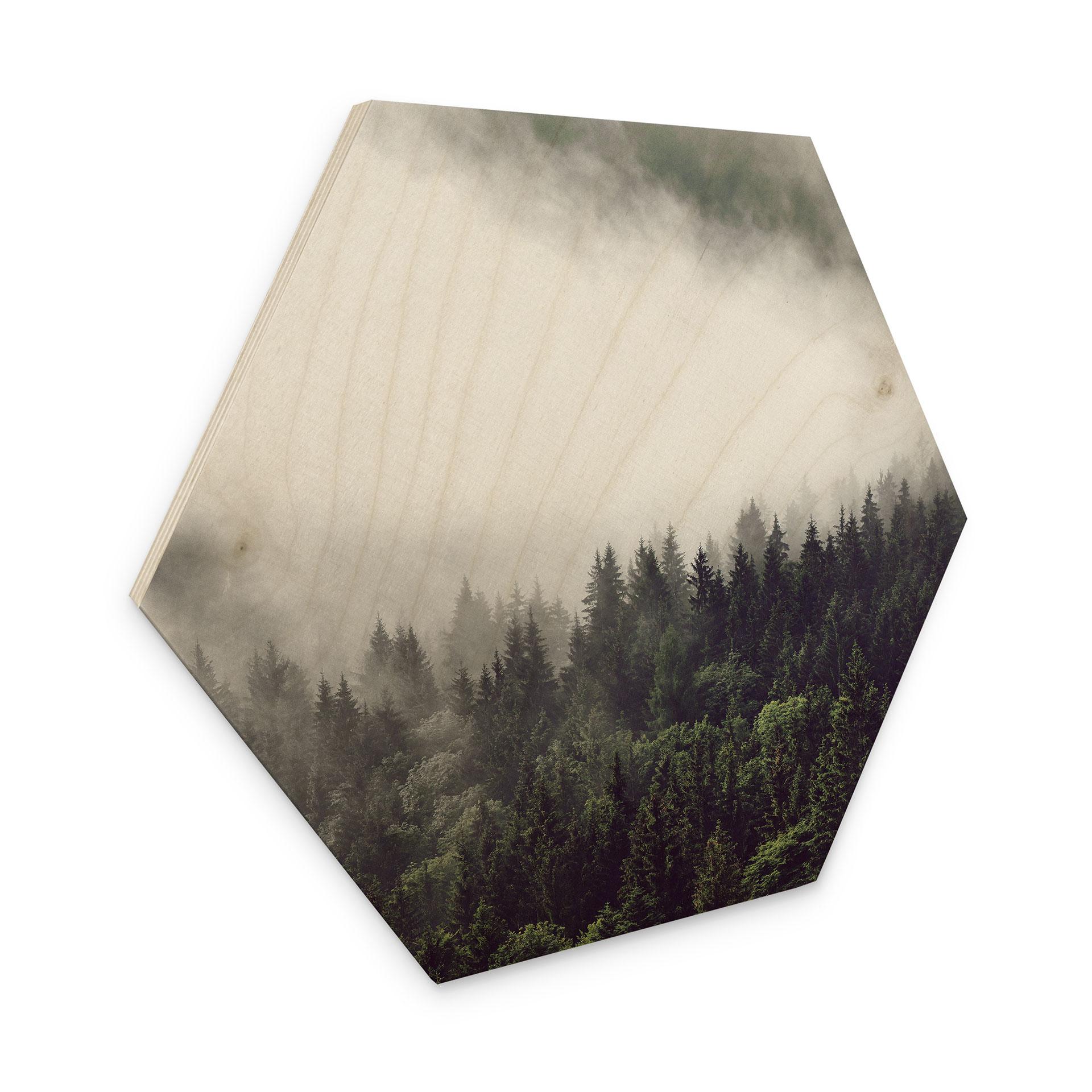 Hexagon Hout Nevel in het Bos 02