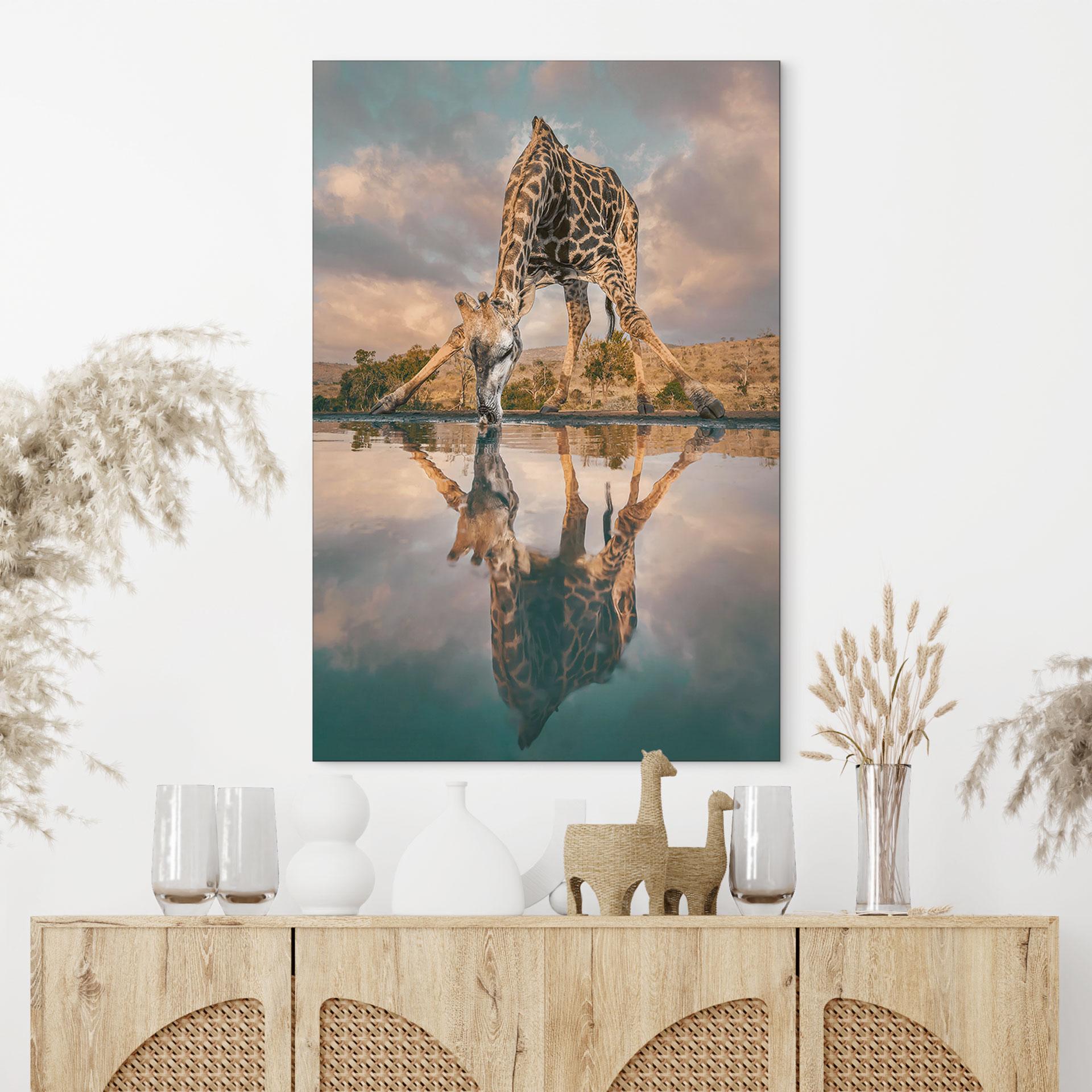 Fototapet Refleksion af en giraf i naturen - Amtmann – print på aluminium (Alu-Dibond)