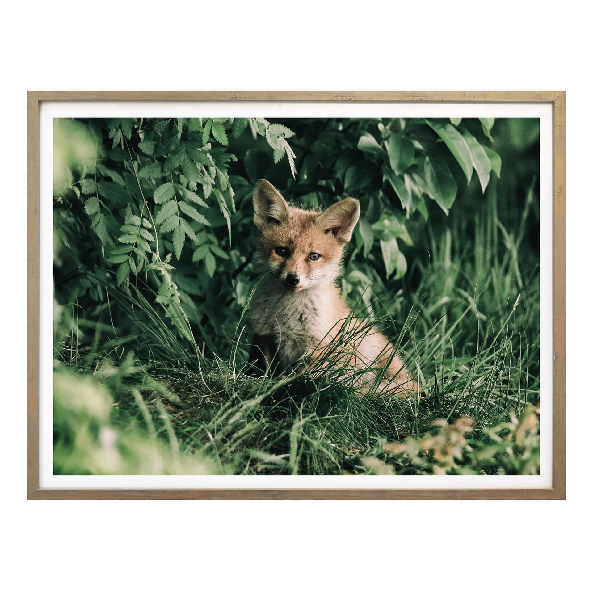 Póster Solo en el bosque