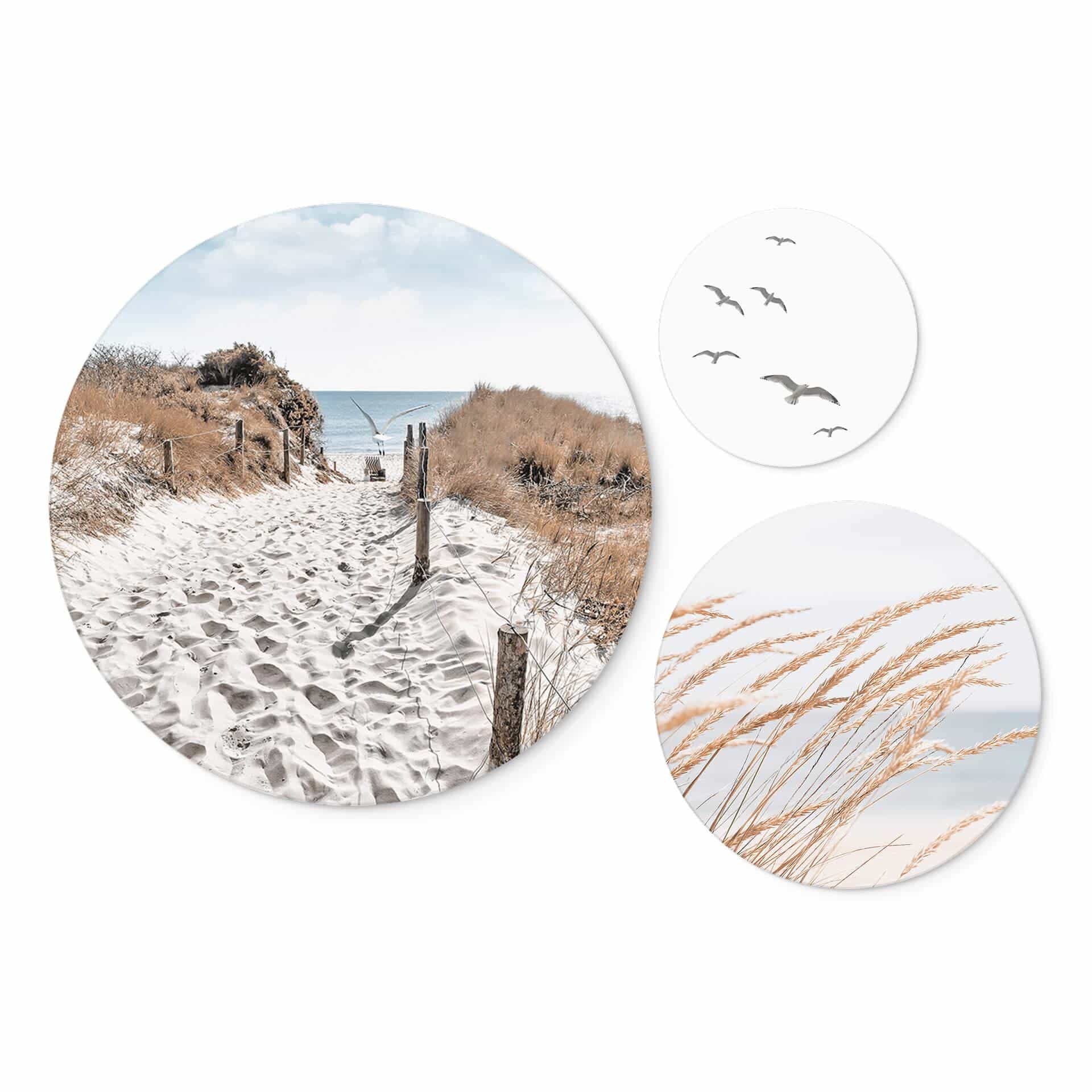 Vægcirkel Sea Breeze on the Coast-sæt (3 dele) – print på aluminium (Alu-Dibond)