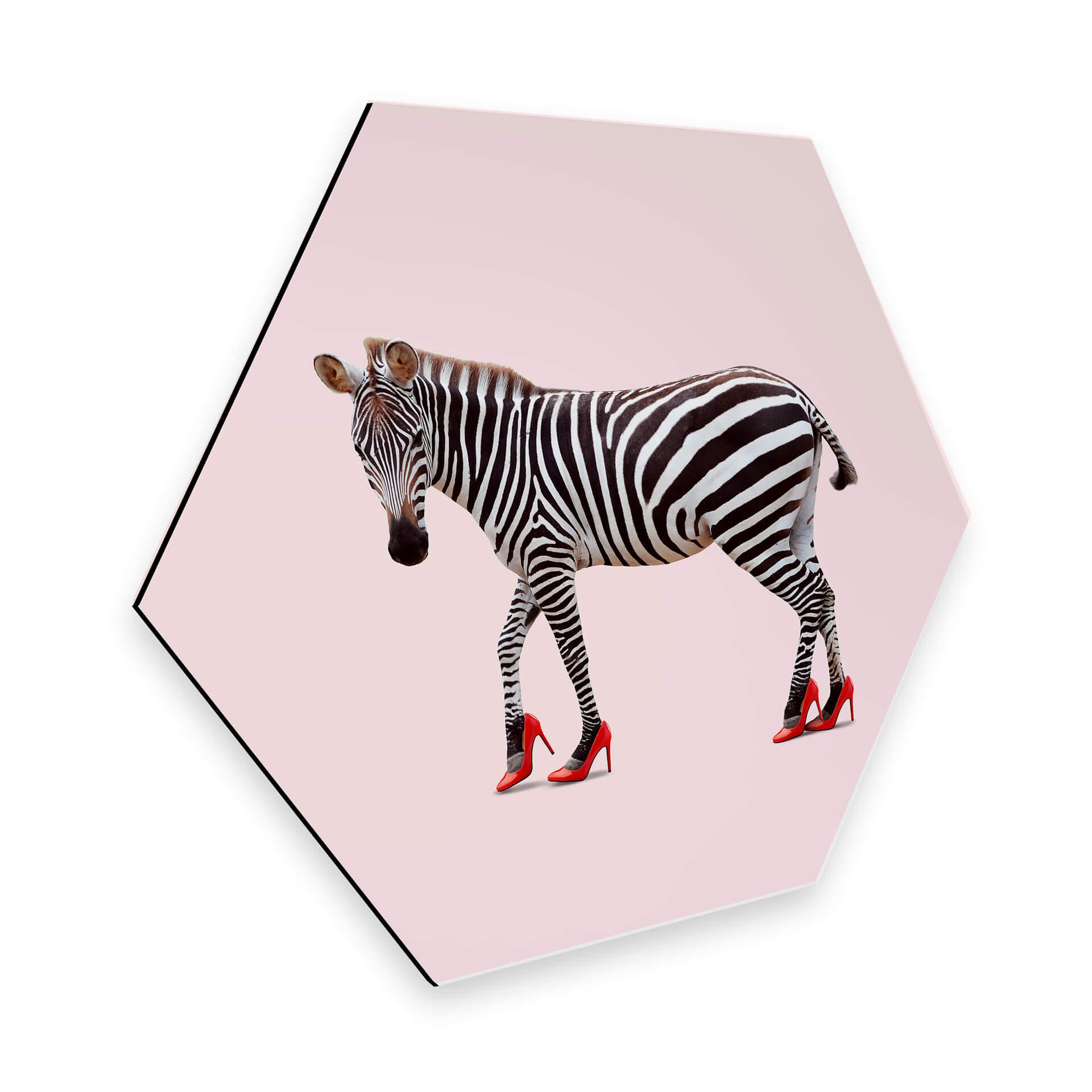 Hexagon Dibond Loose - Zebra Heels