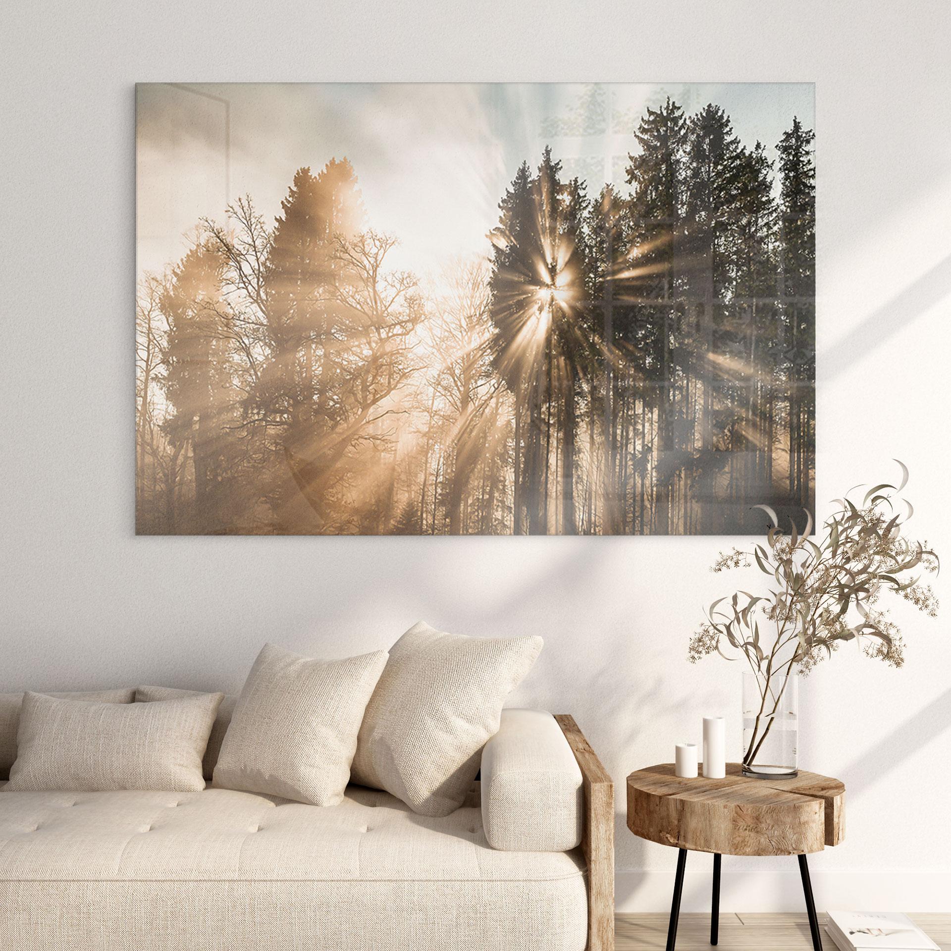 Akrylbillede Lysstråler i skoven - Eisenmann