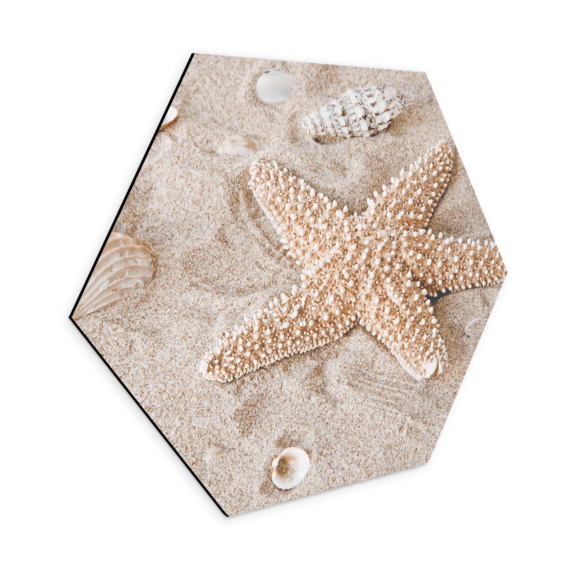 Hexagone - alu-Dibond Poisson-étoile dans la plage dorée