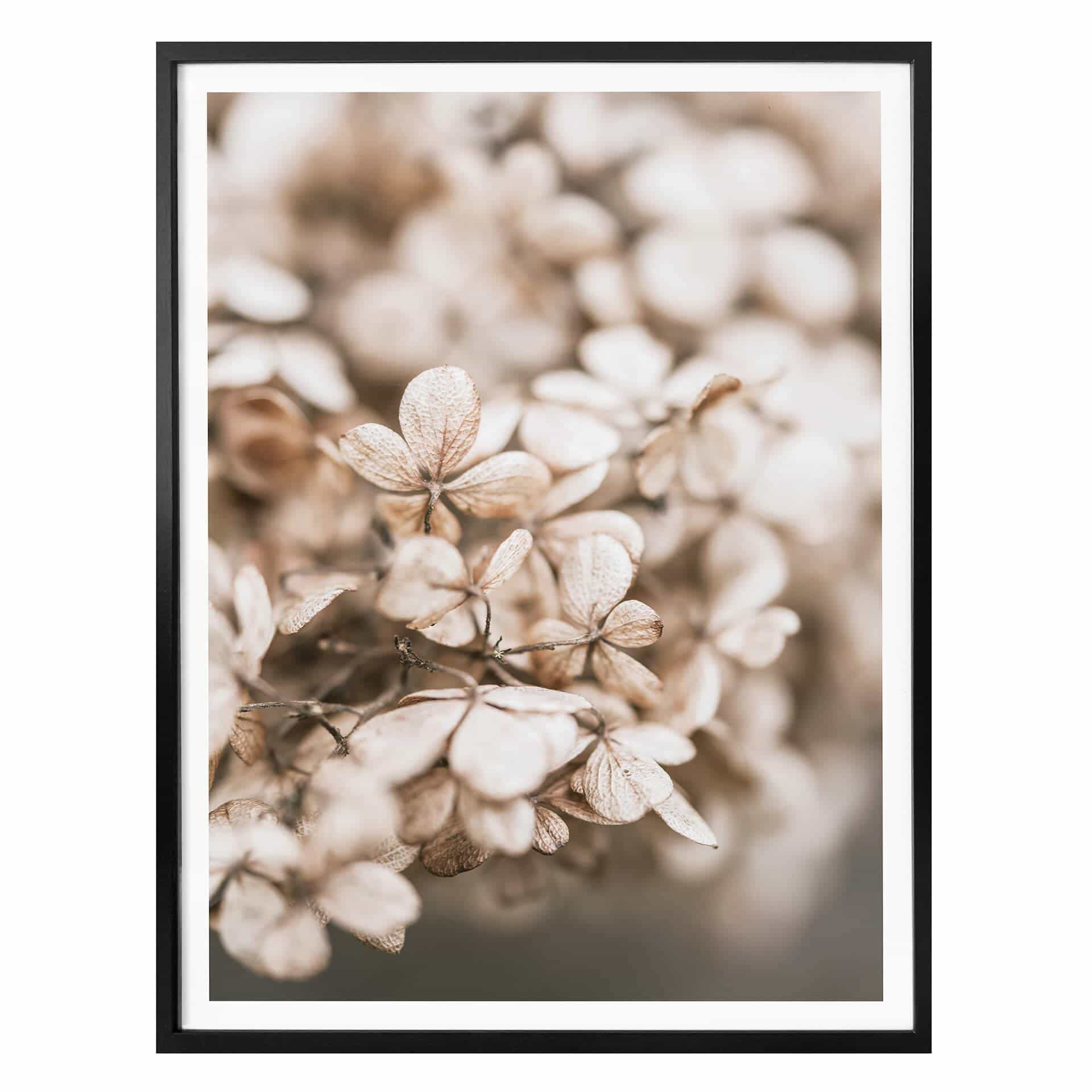 Plakat - Annie - Velvet Flowers
