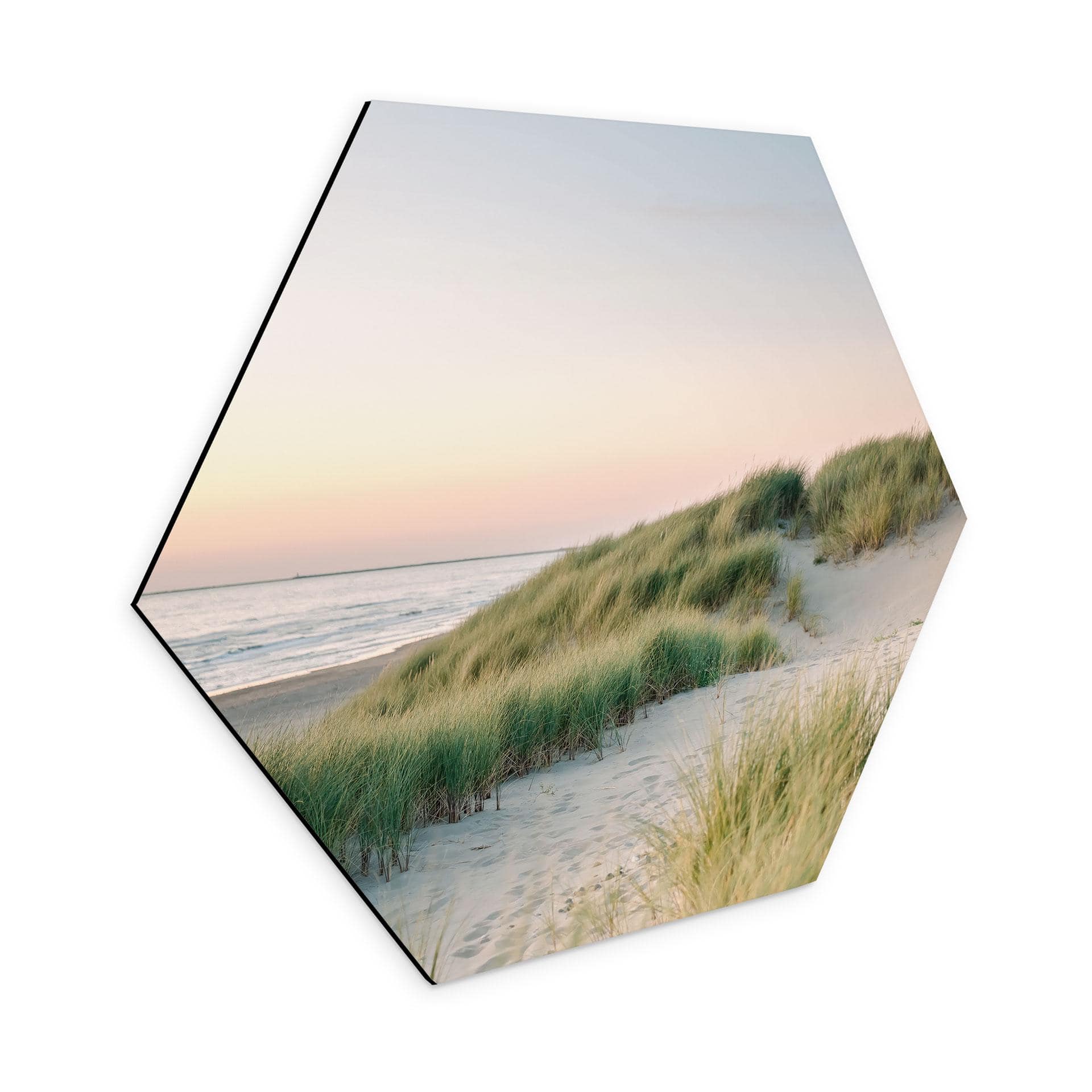 Hexagon Dibond Klitter på den hollandske kyst - Zwart