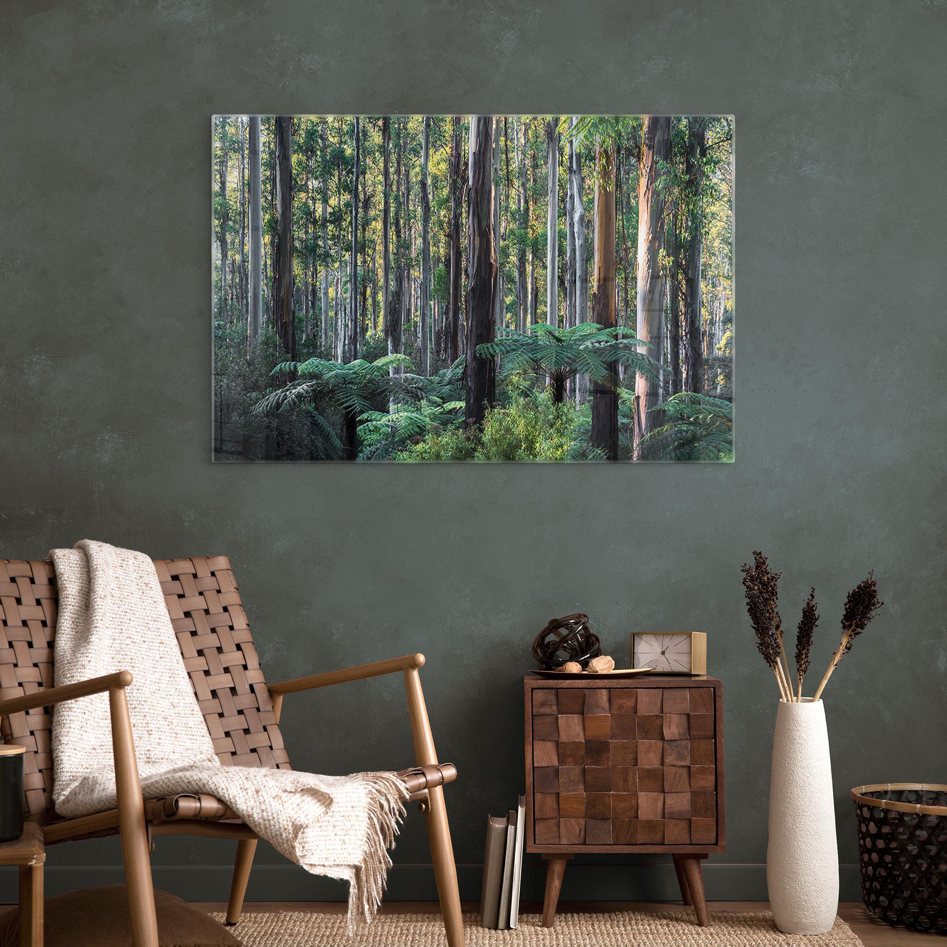 Glasbillede - Eucalyptus skov i Yarra Ranges - Colombo