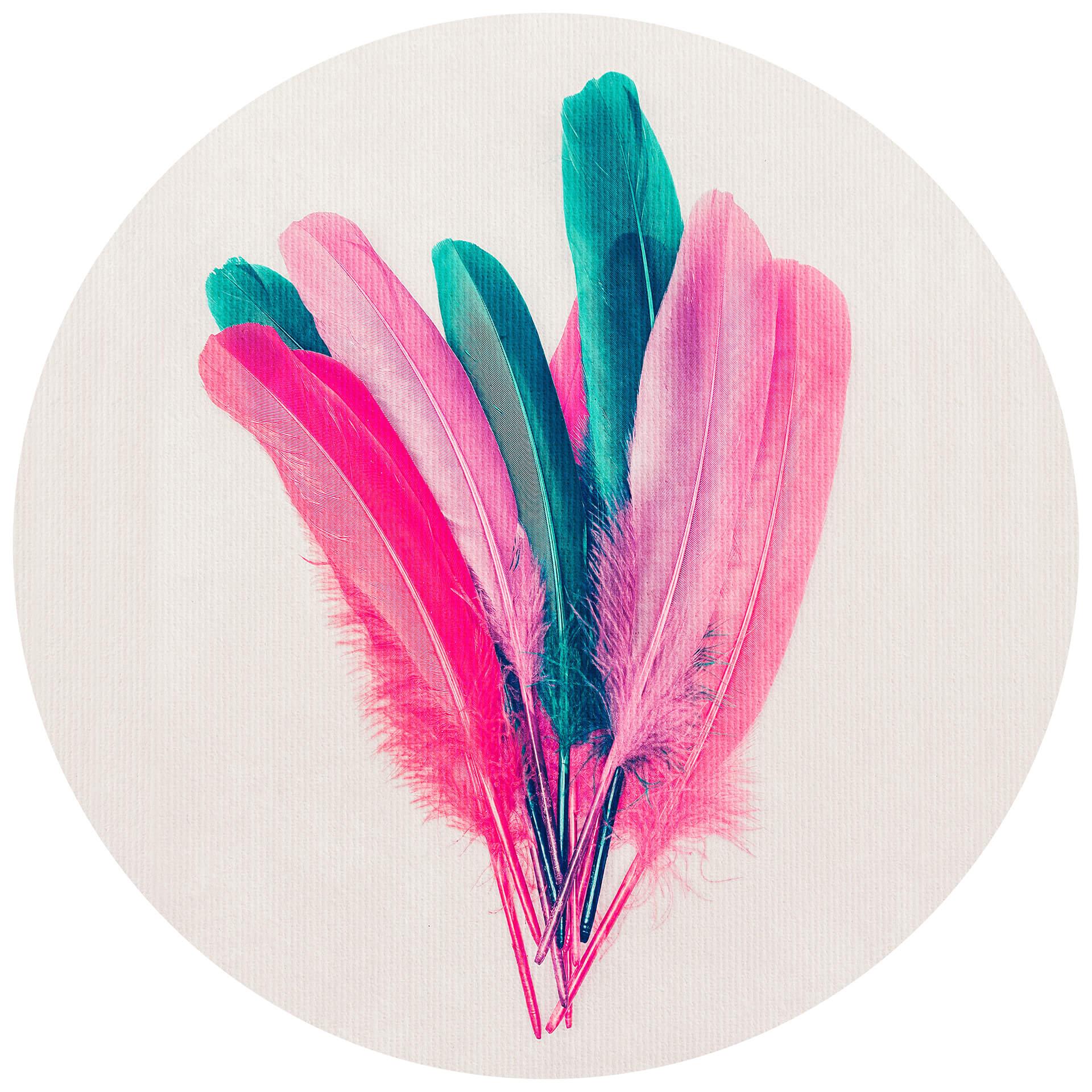 Behangcirkel Kubistika - Bouquet of Feathers - vliesbehang/zelfklevend vliesbehang
