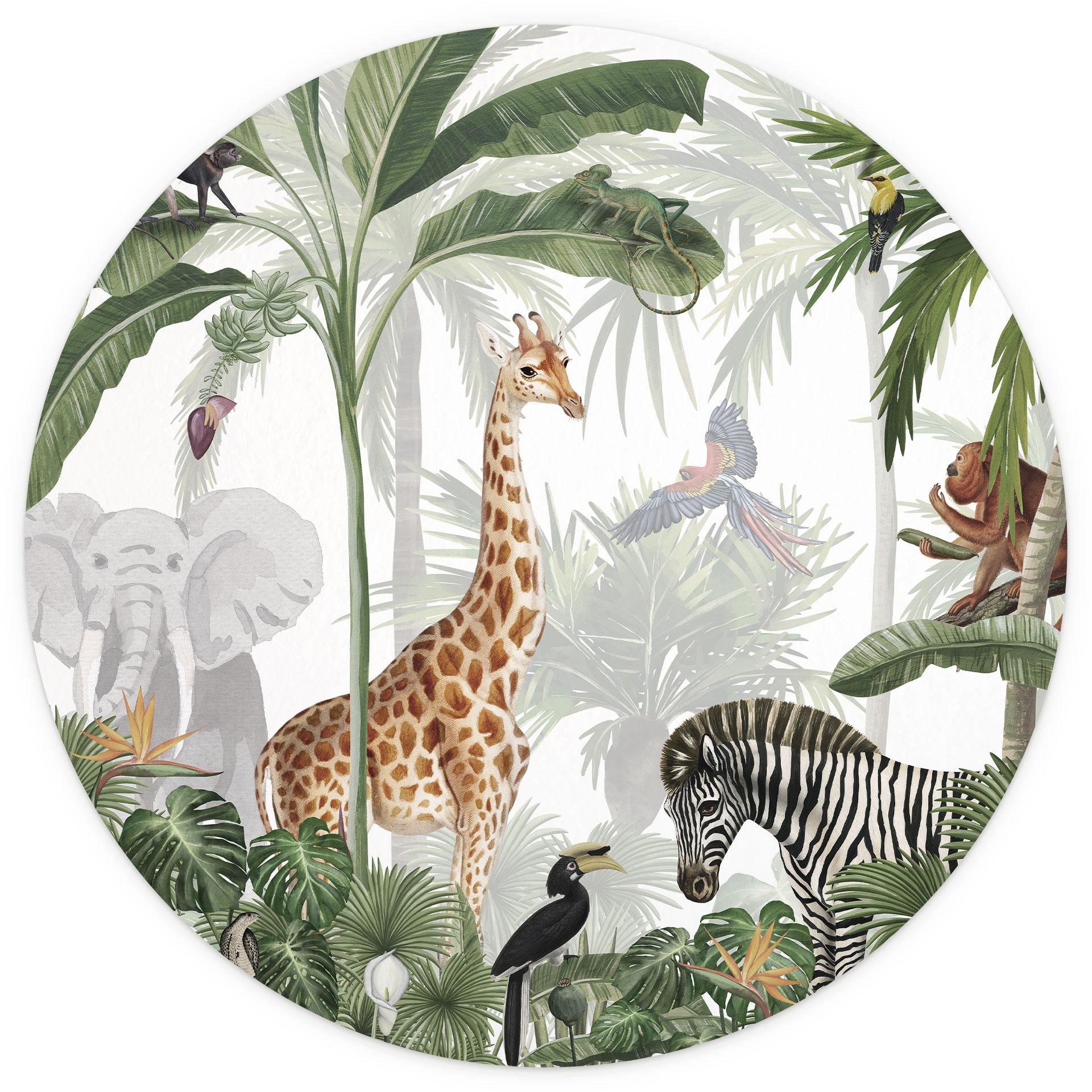 Behangcirkel Kikki Belle - Jungle Jive - vliesbehang/zelfklevend vliesbehang