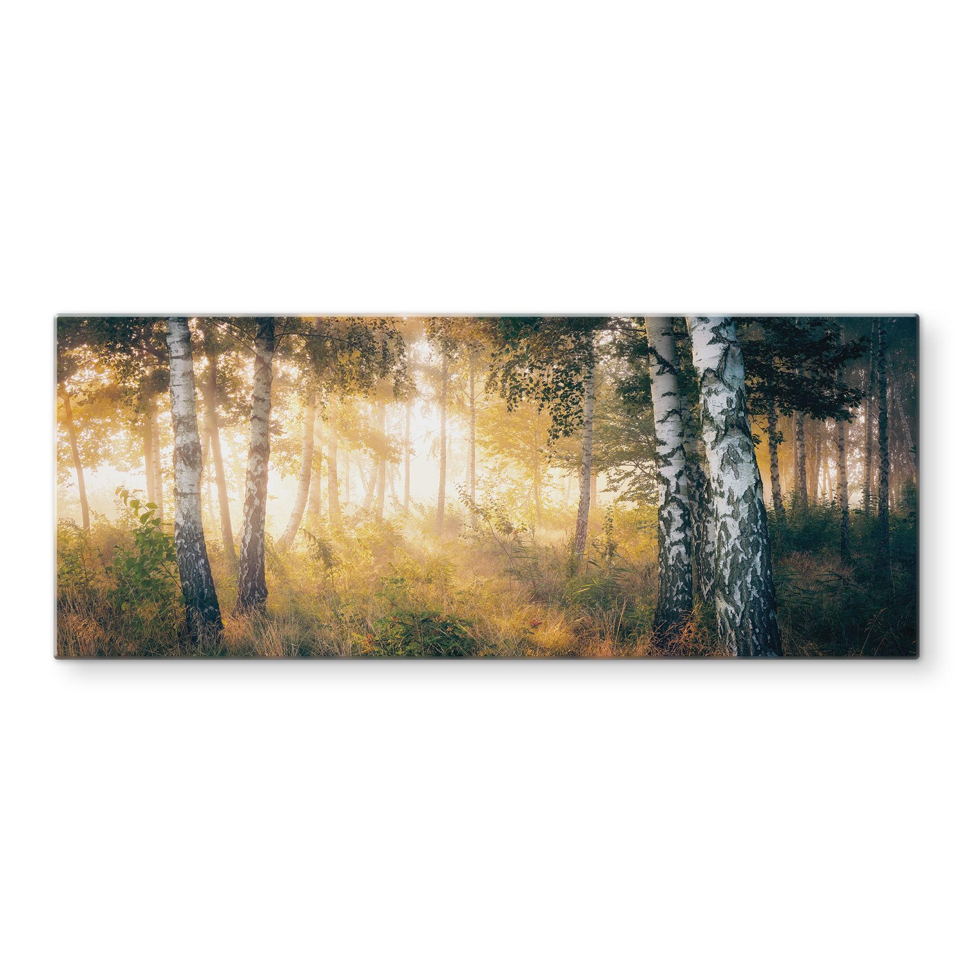 Stænkplade Kado - Solskin i birkeskoven - Panorama