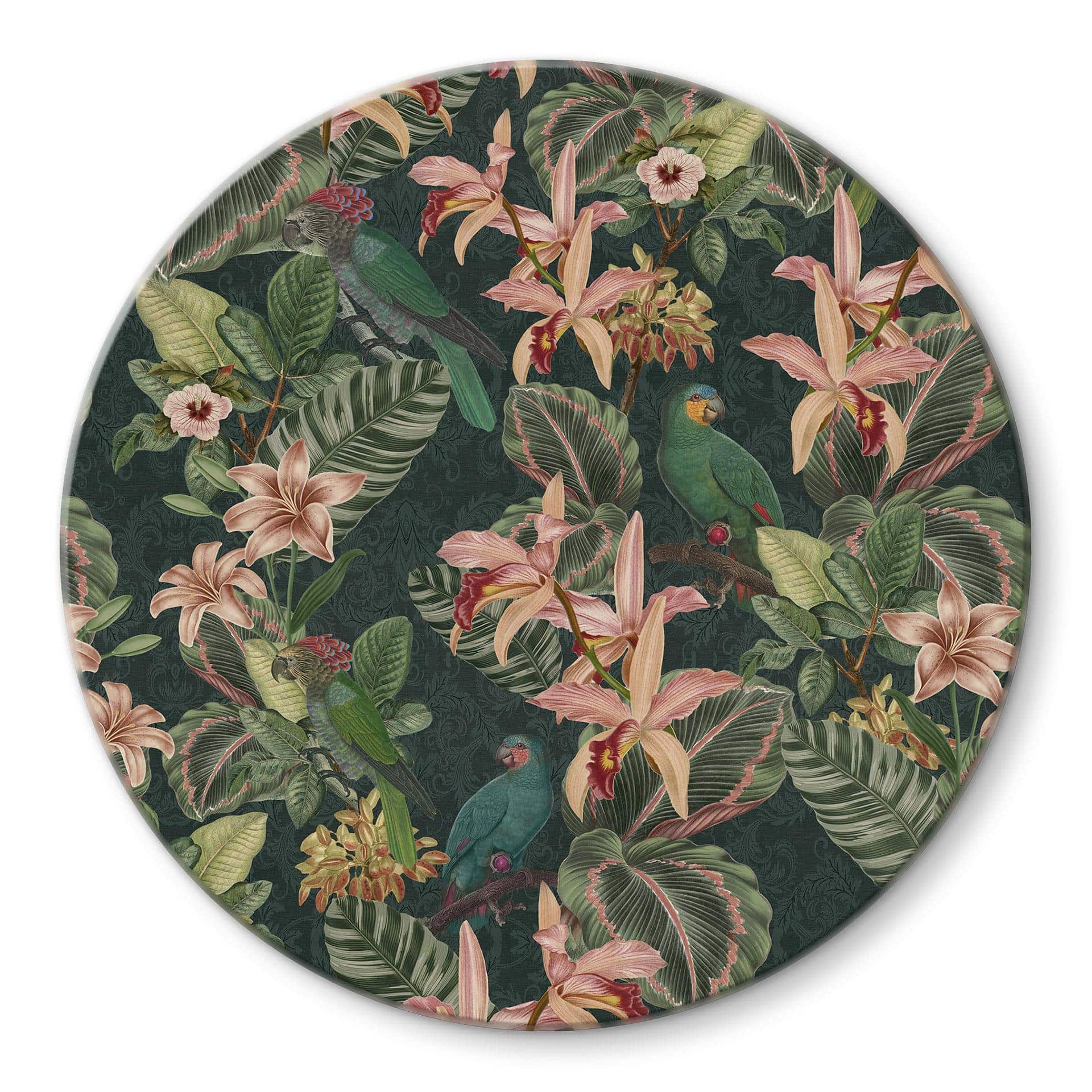 Glasbillede - Jungle med papegøjer Natgrøn - Bloomery Decor - Rund