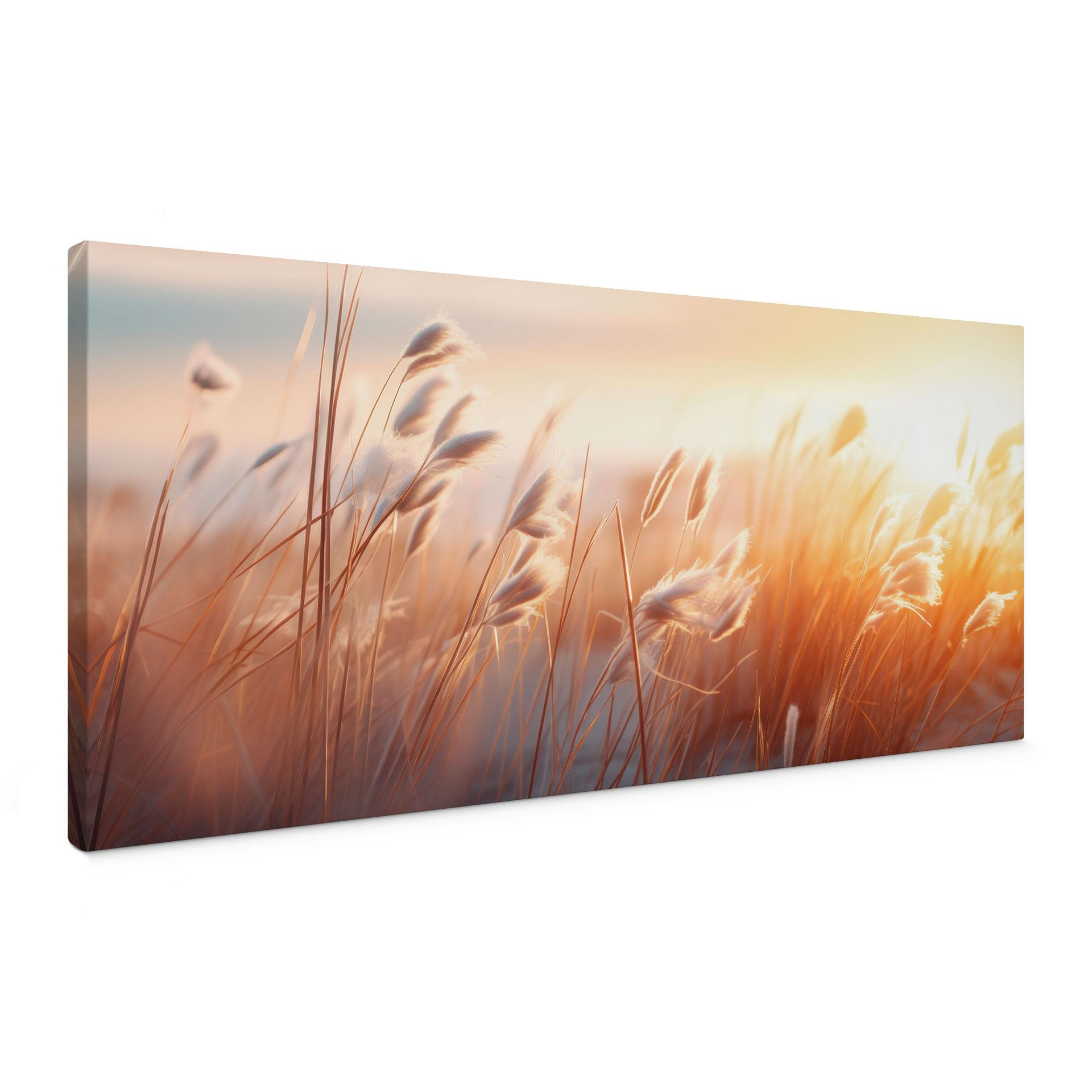 Canvasbillede Klitgræs i aftensol - Treechild - Panorama