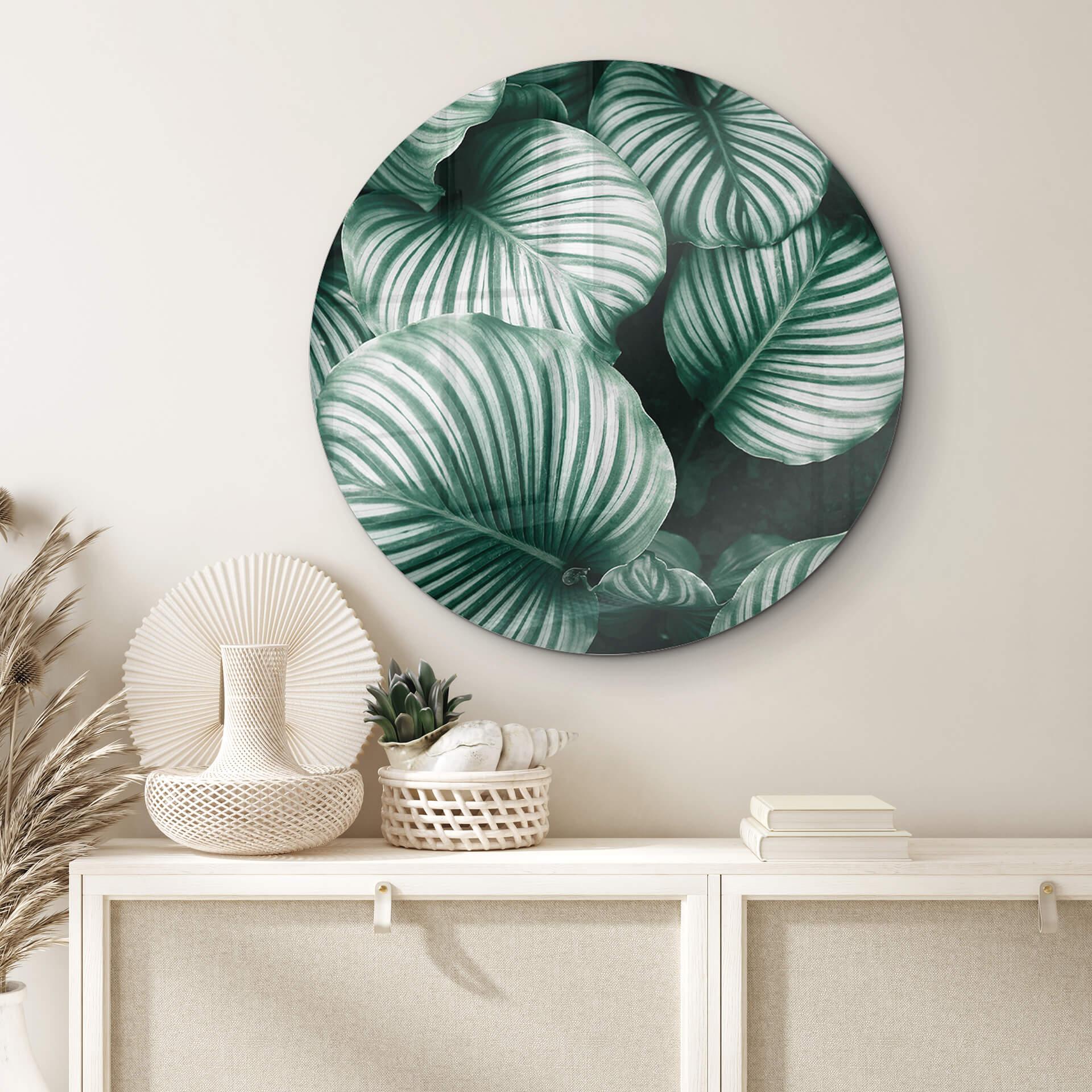 Glasschilderij Rond Urban Jungle - Calathea Orbifolia