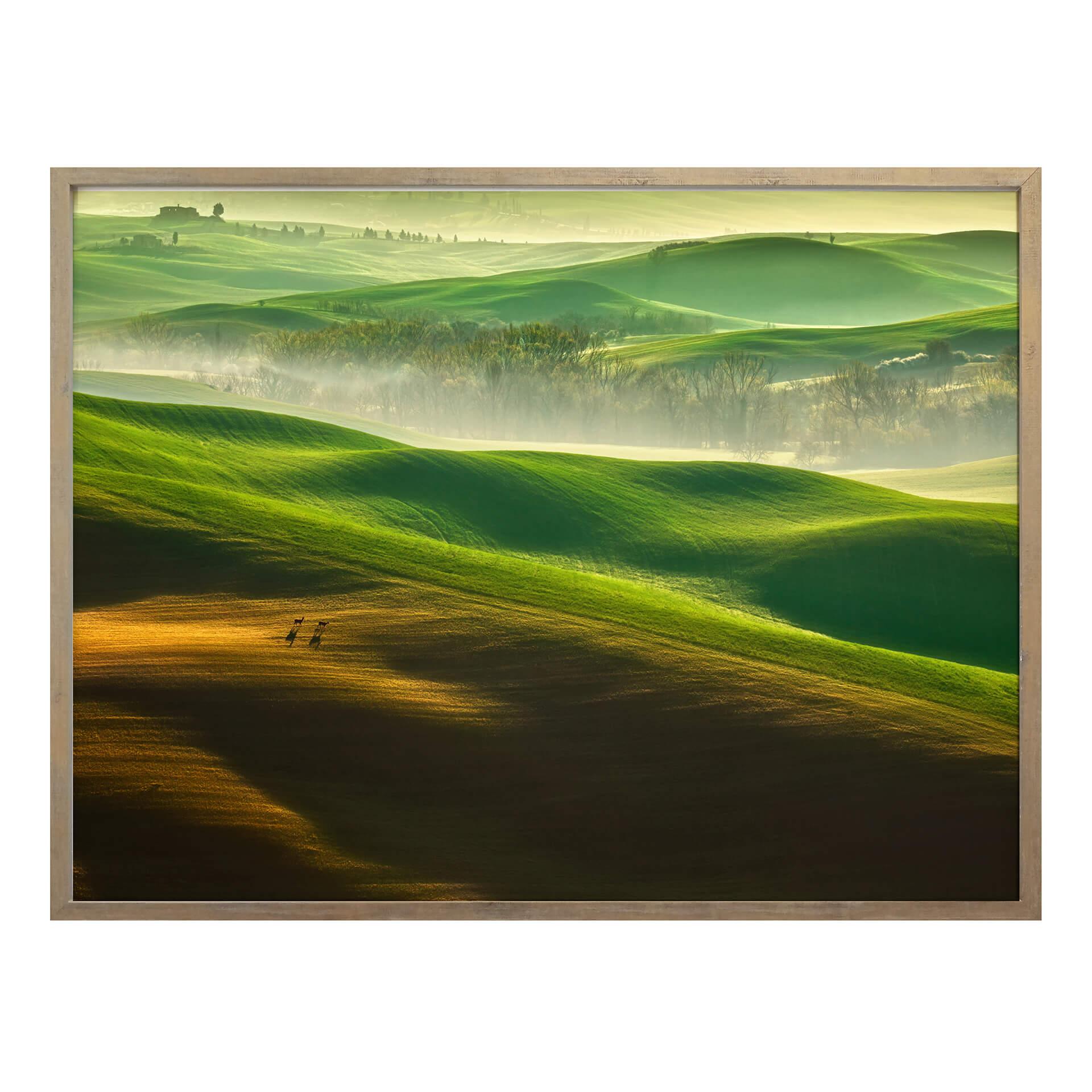 Póster Browko - Prados verdes
