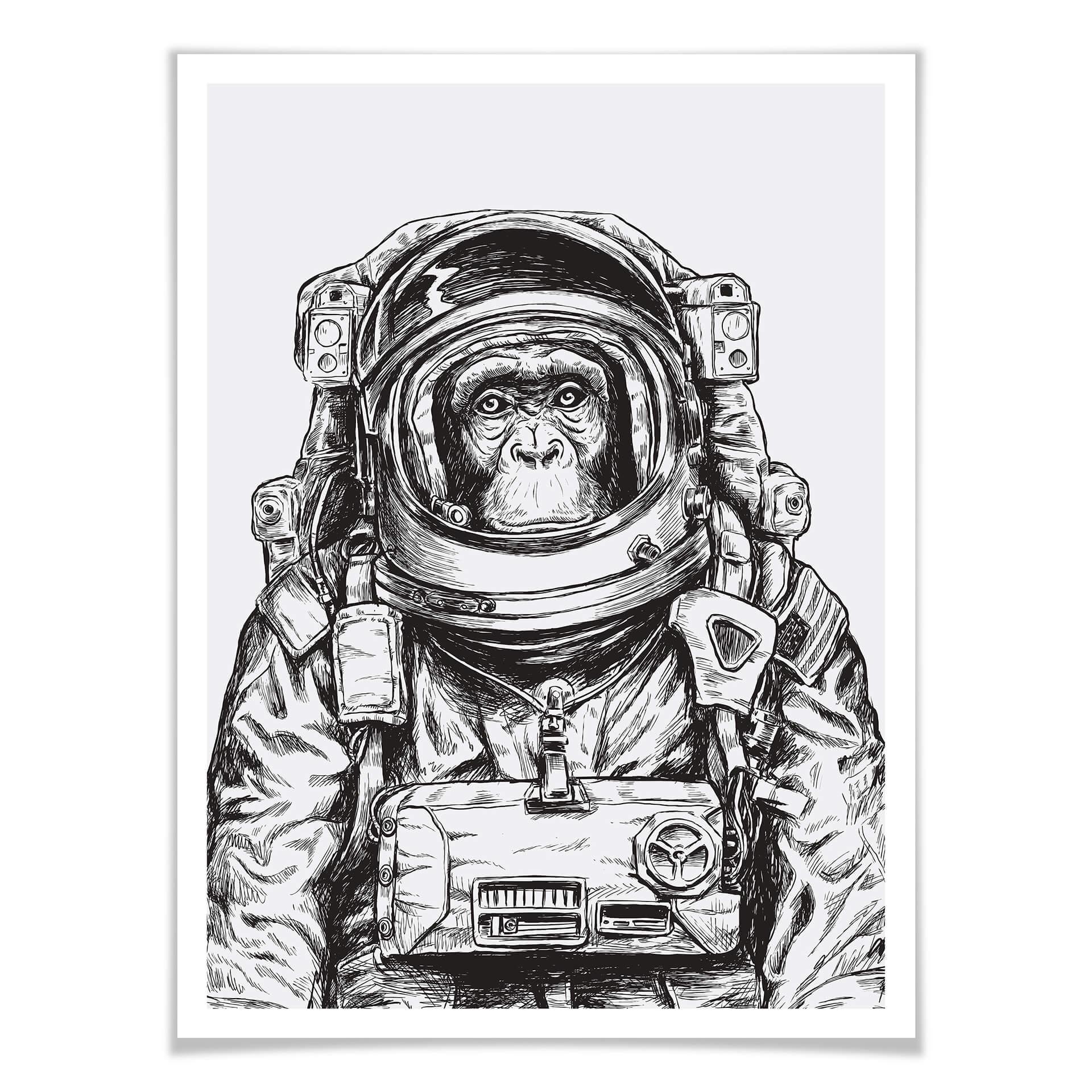Poster Space Monkey