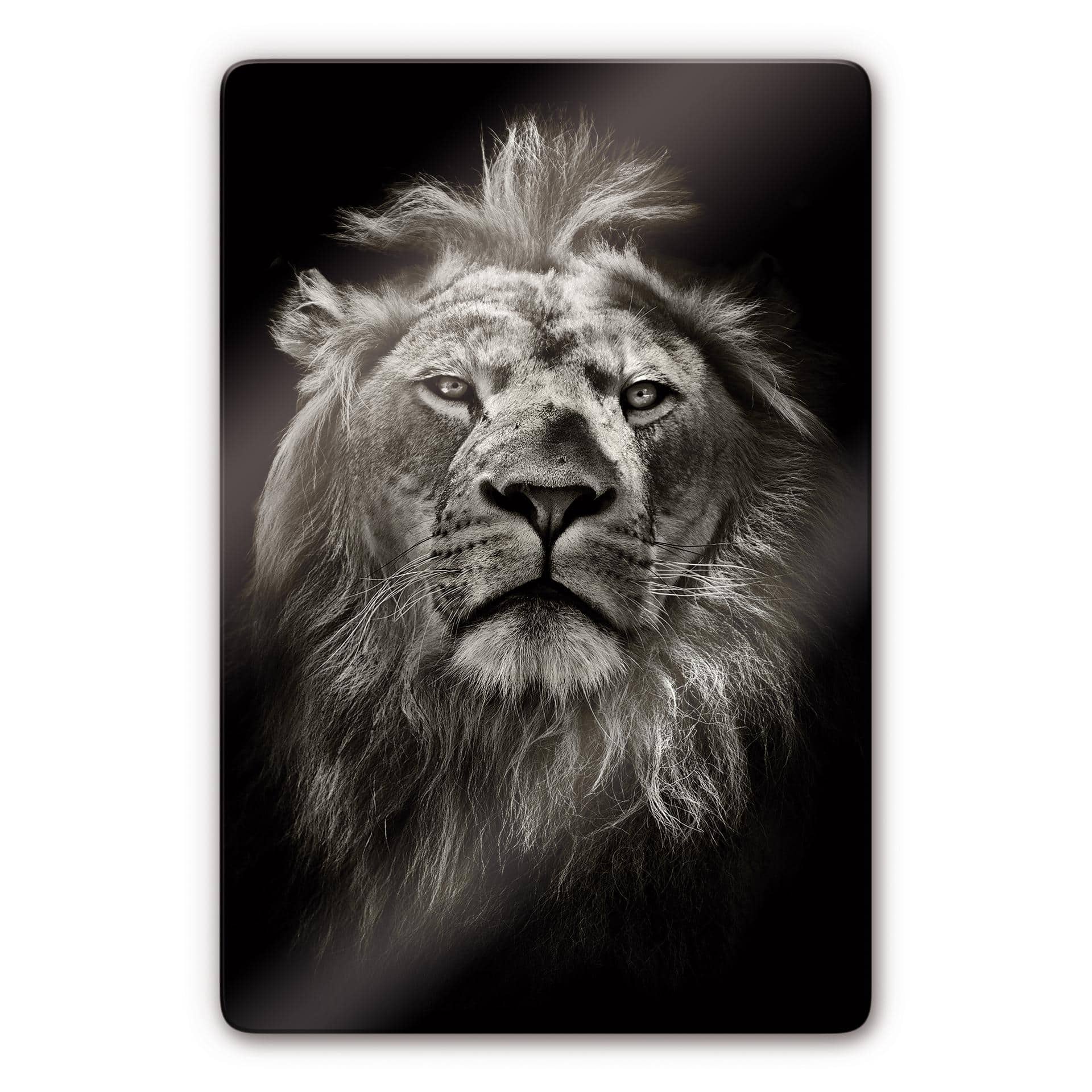 Tableau en verre - Lion
